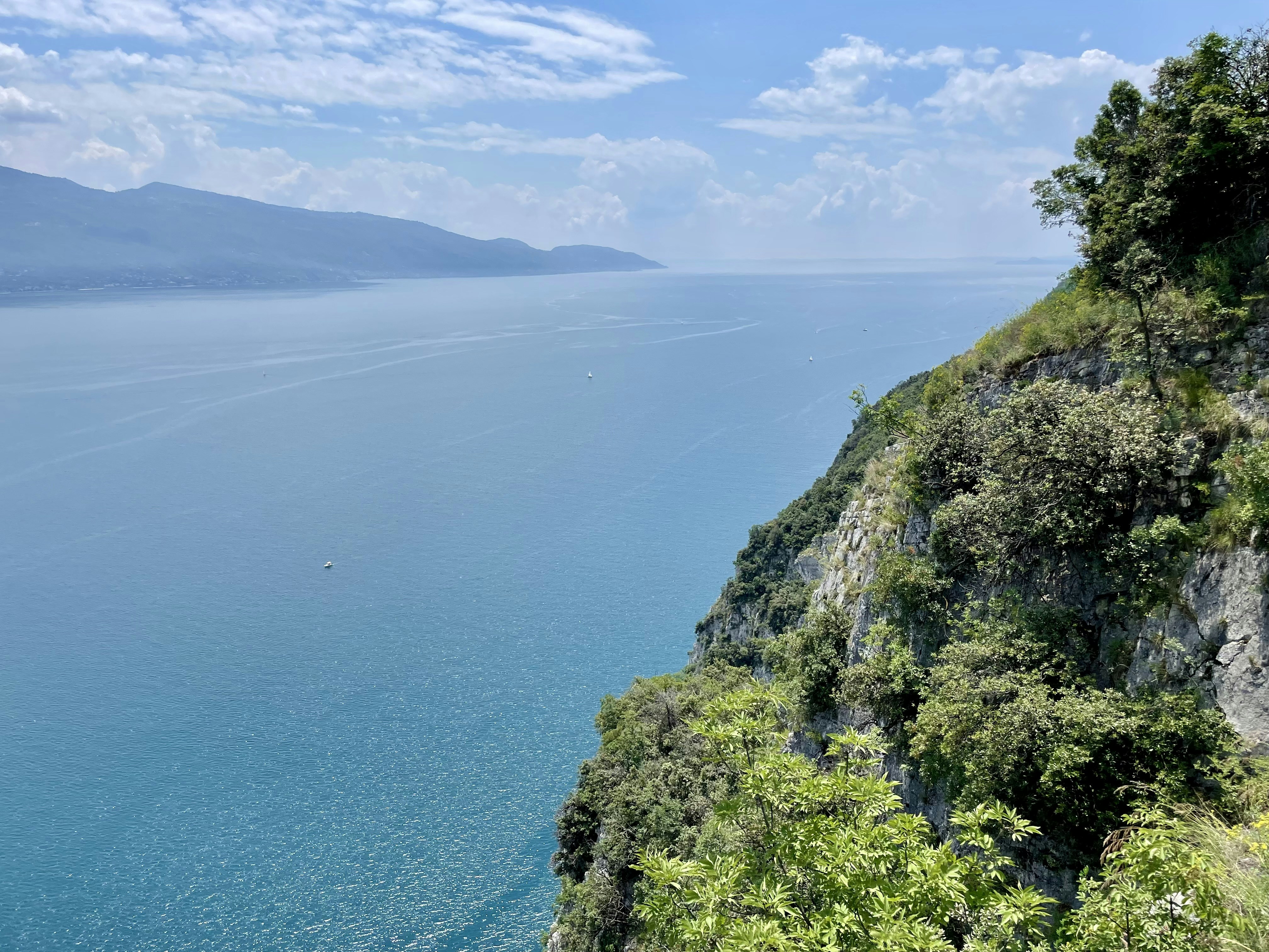 Photo by michaelmartinelli