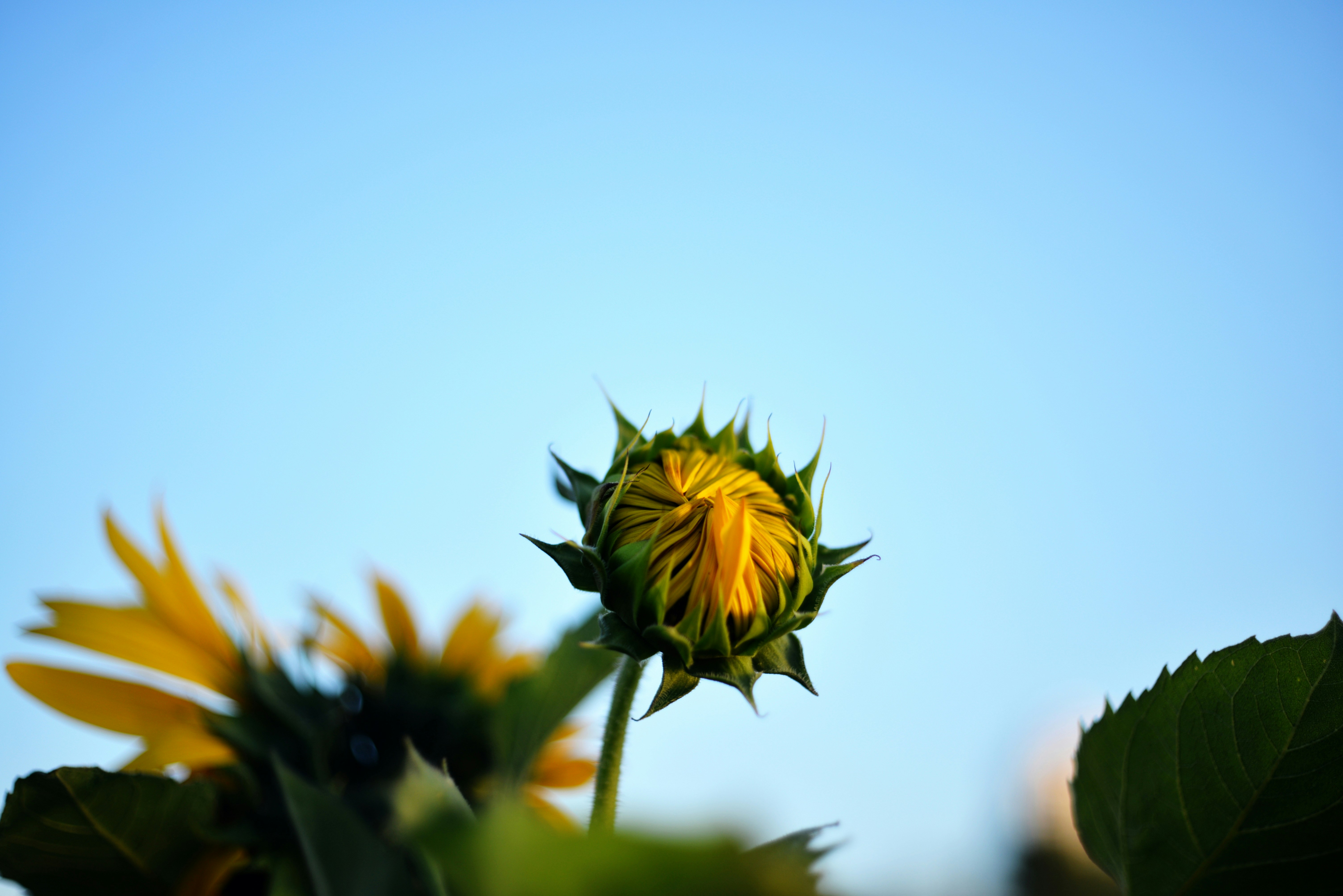 Photo by cherstve_pechivo