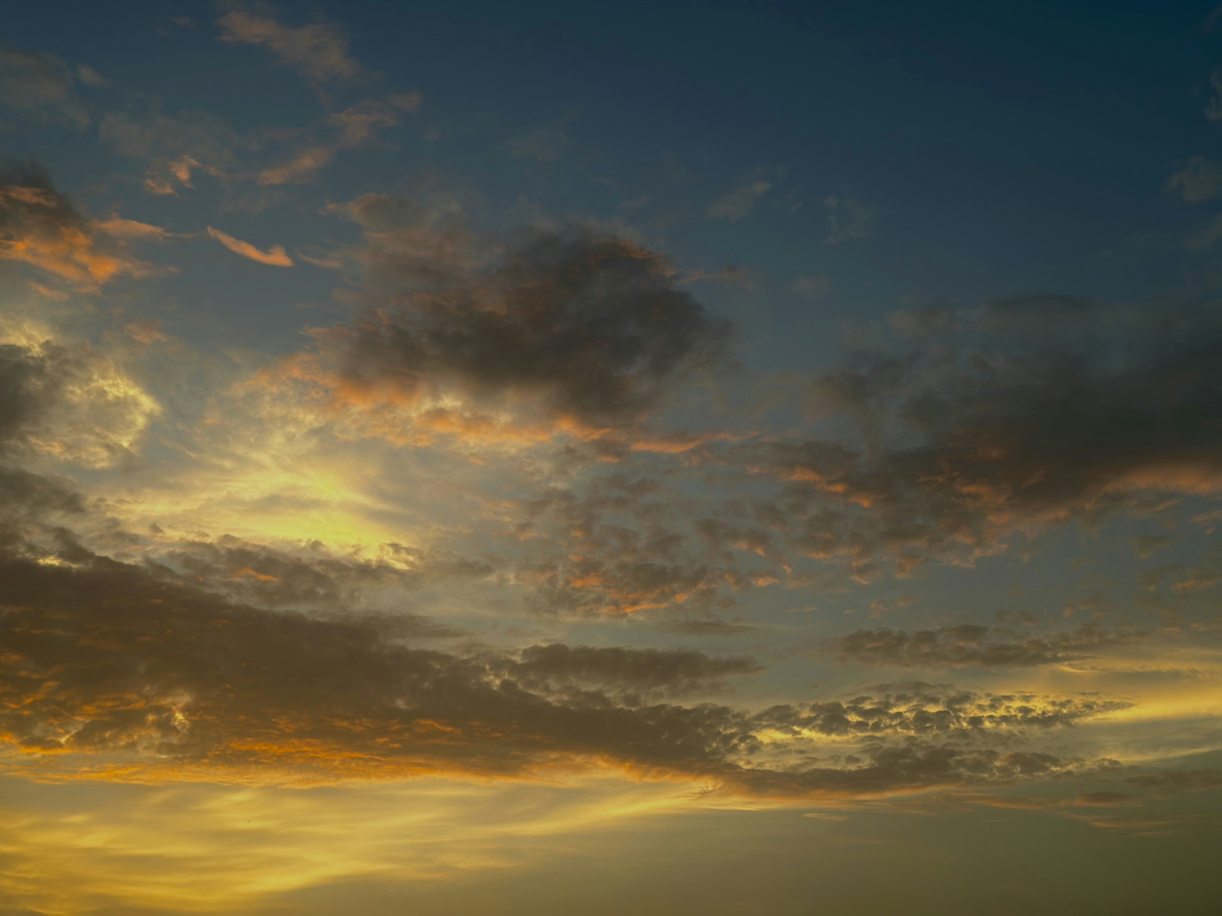 Photo by neelakshi_singh_