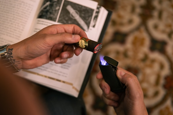 Electric plasma arc lighter