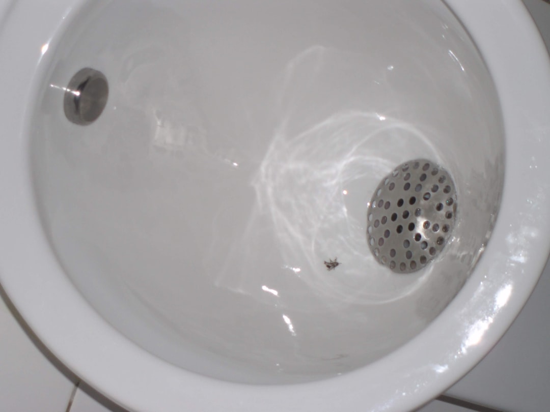 professional 洗濯機 水漏れ A close up of a white toilet bowl