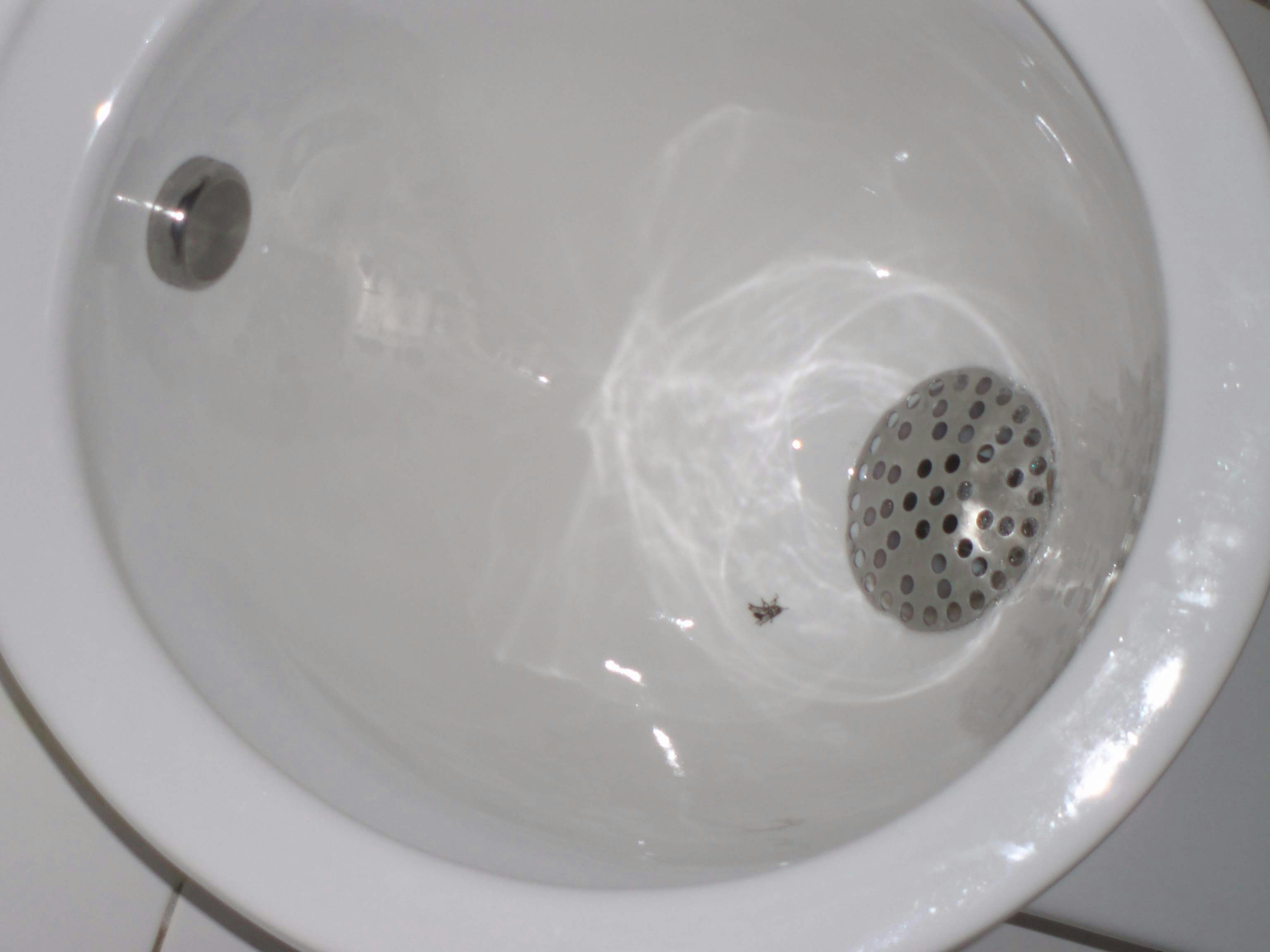 A close up of a white toilet bowl