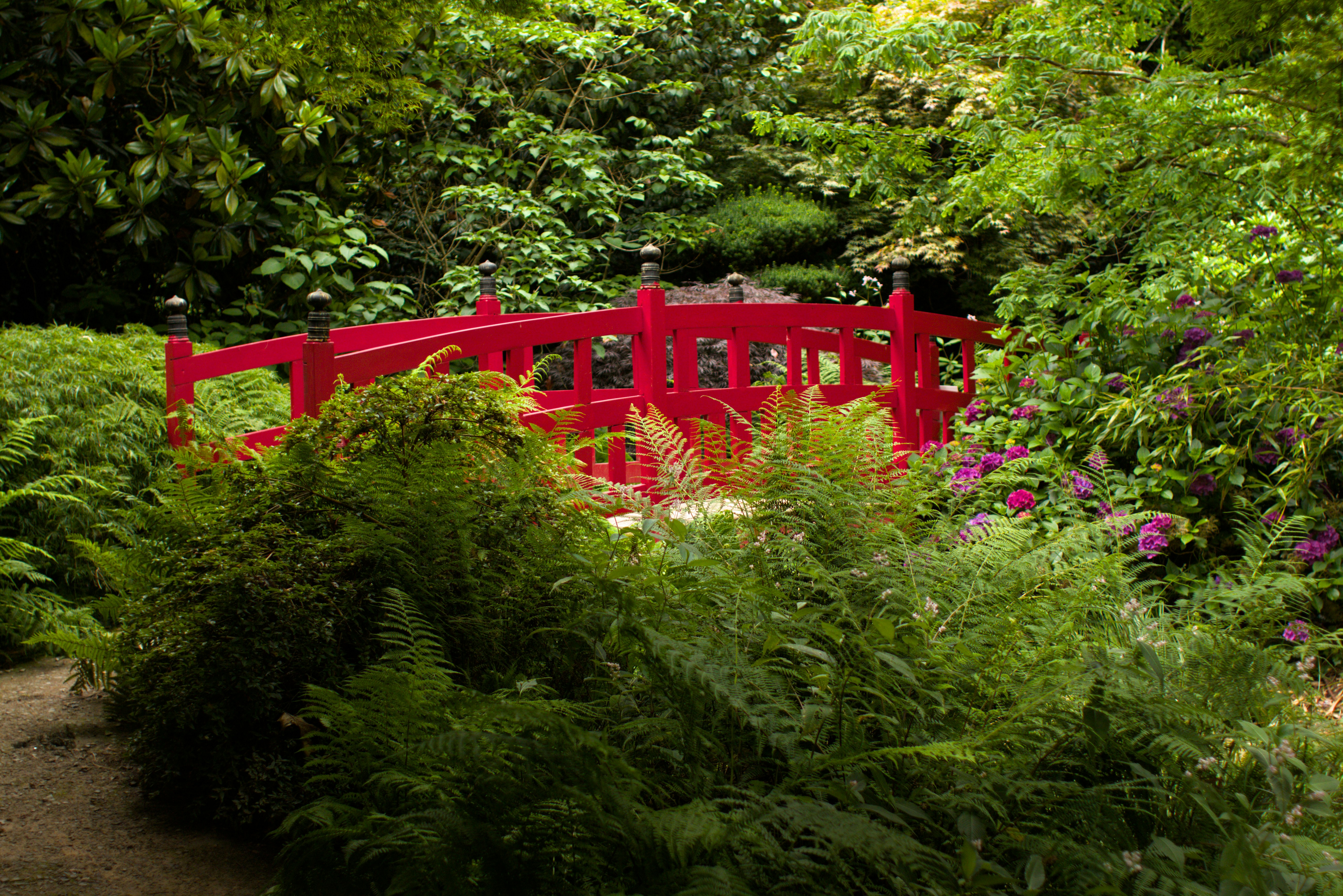 公園内の緑に囲まれた赤い橋