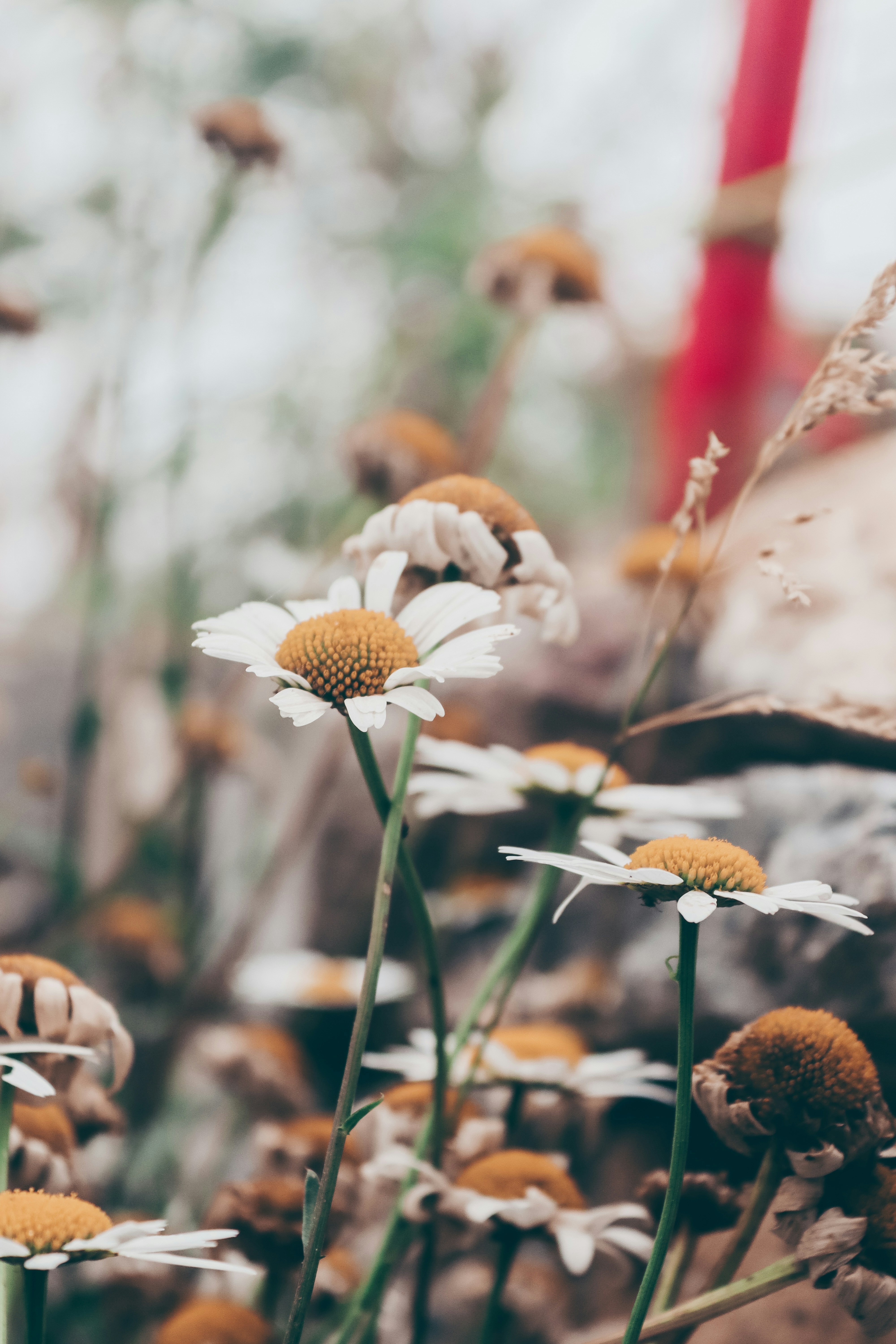 Photo by drphotographer152