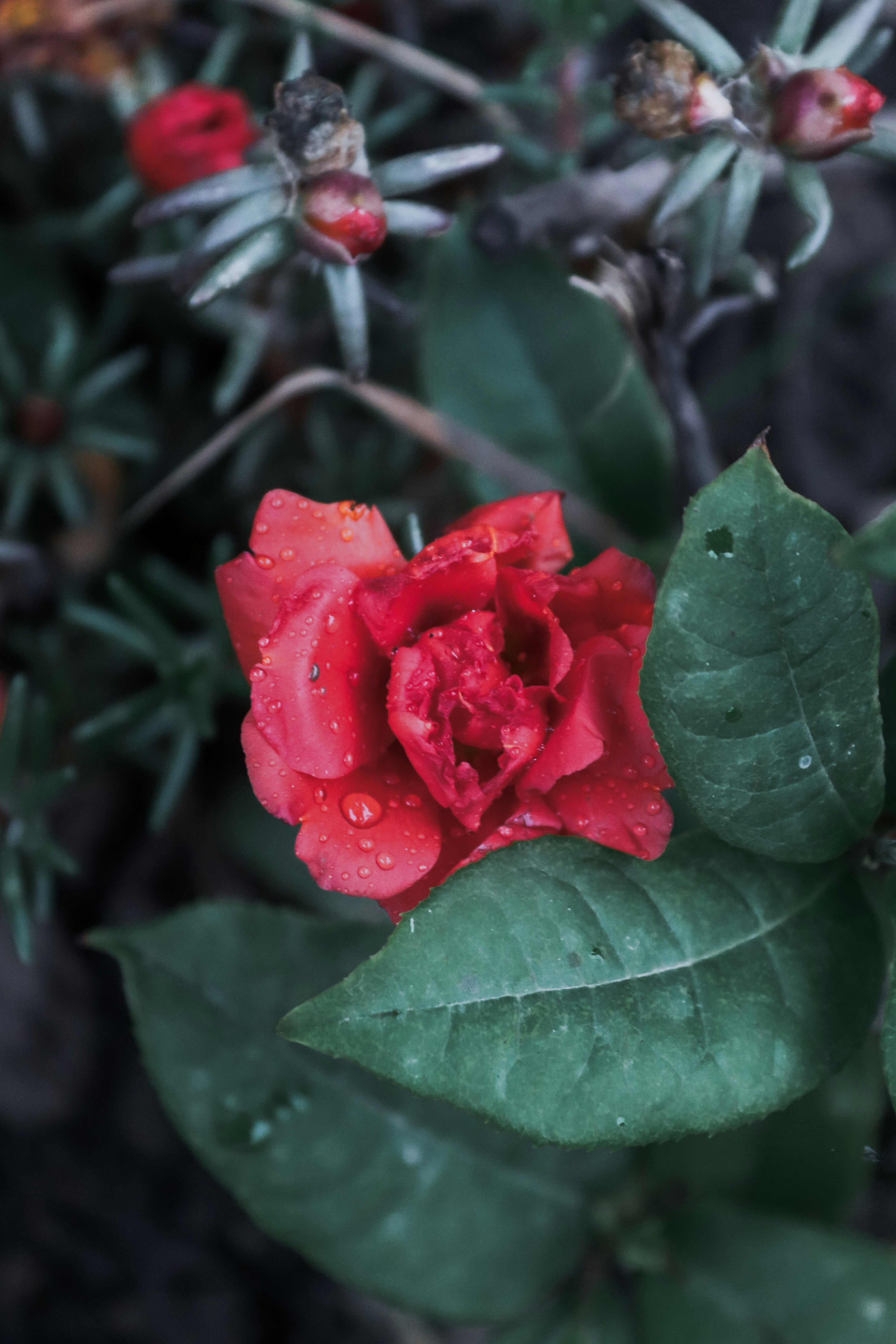 Photo by drphotographer152