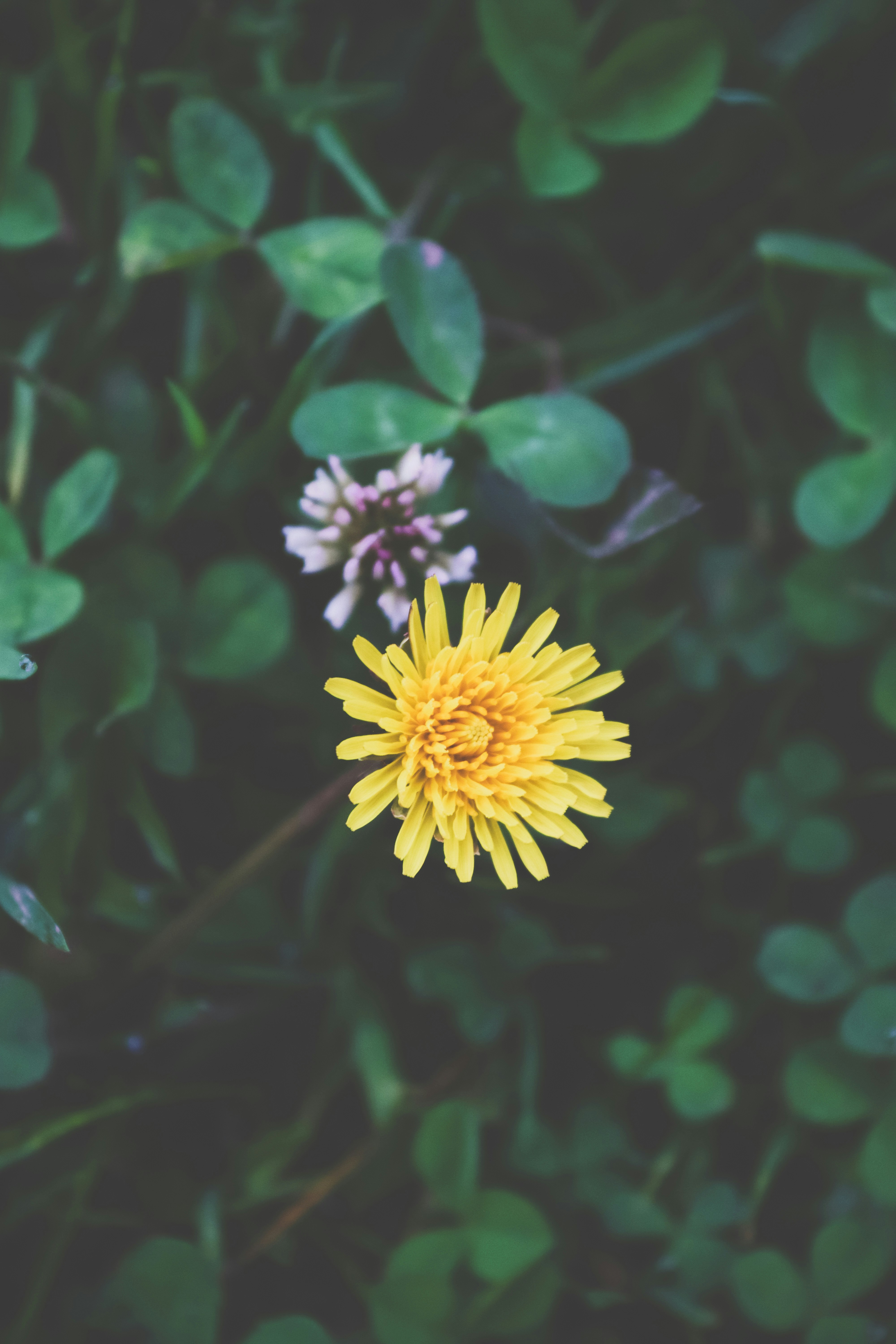 Photo by drphotographer152