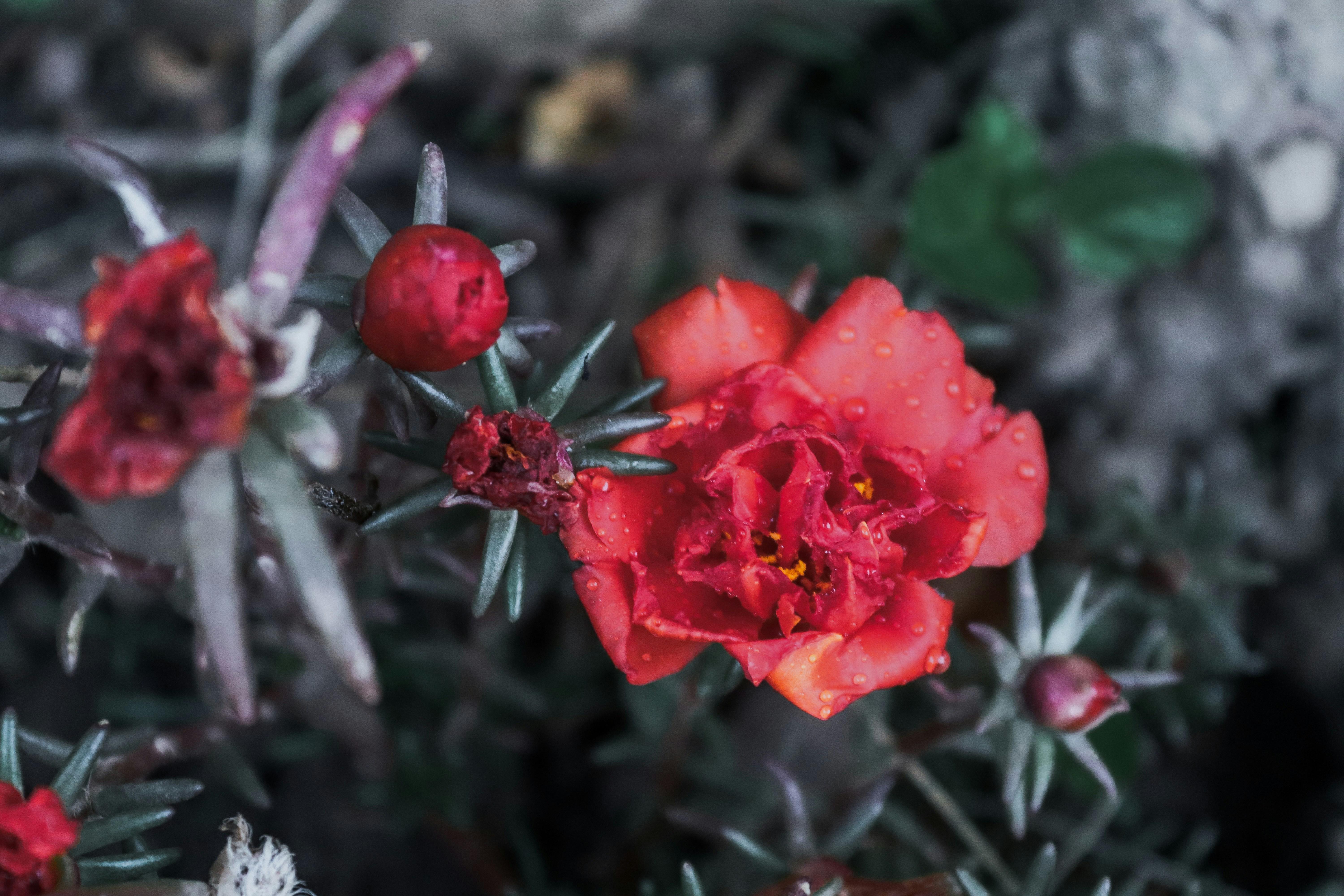 Photo by drphotographer152