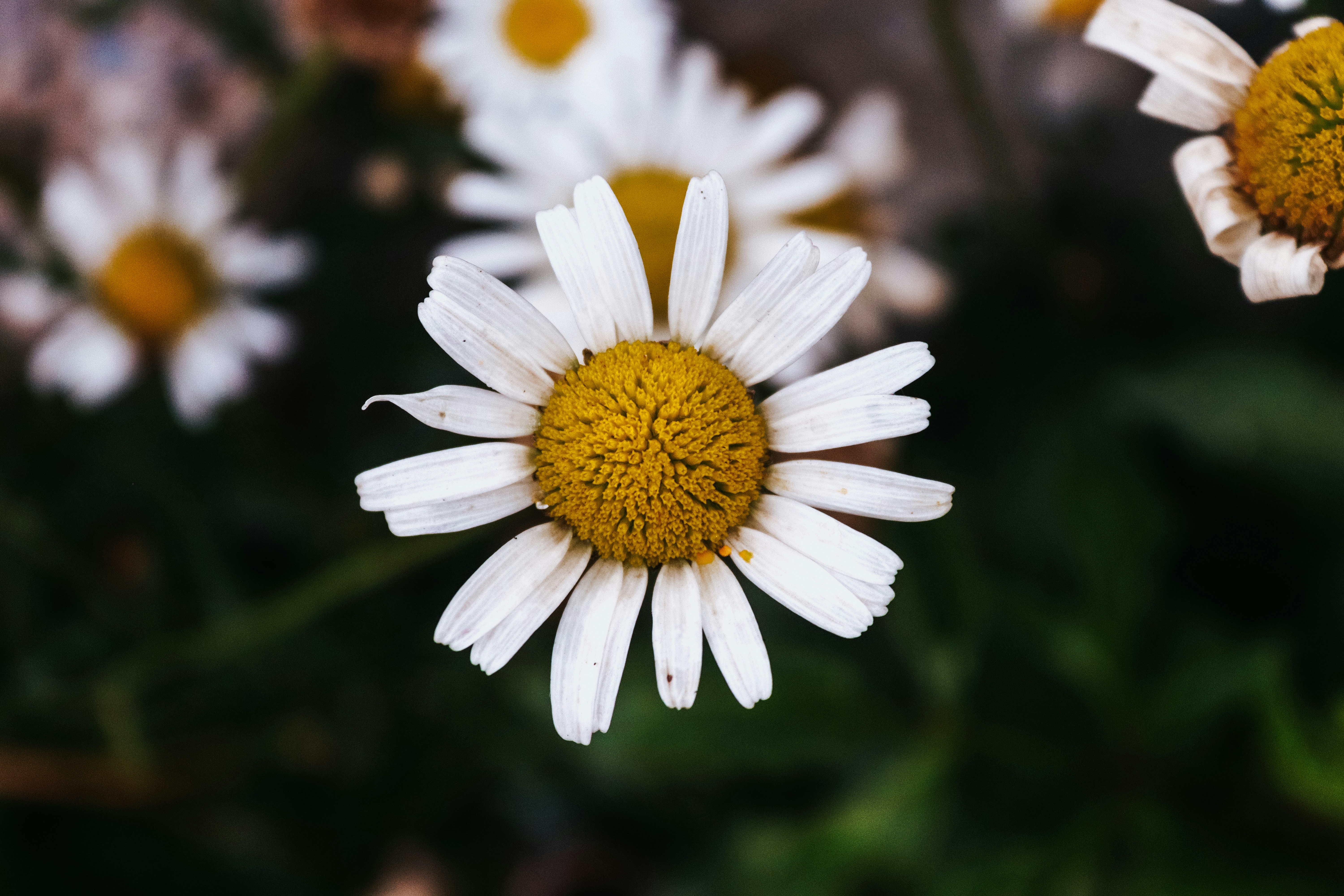 Photo by drphotographer152