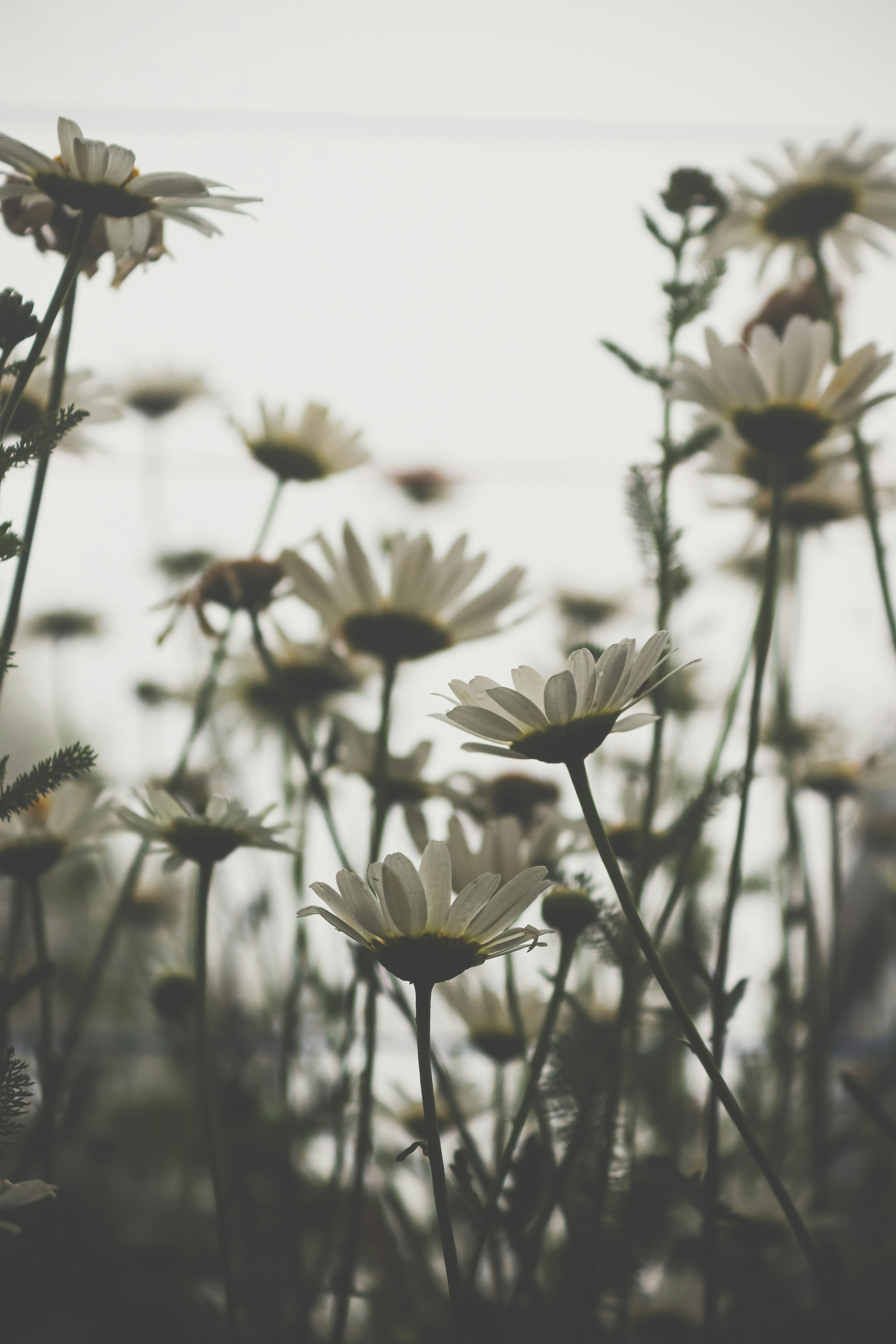 Photo by drphotographer152