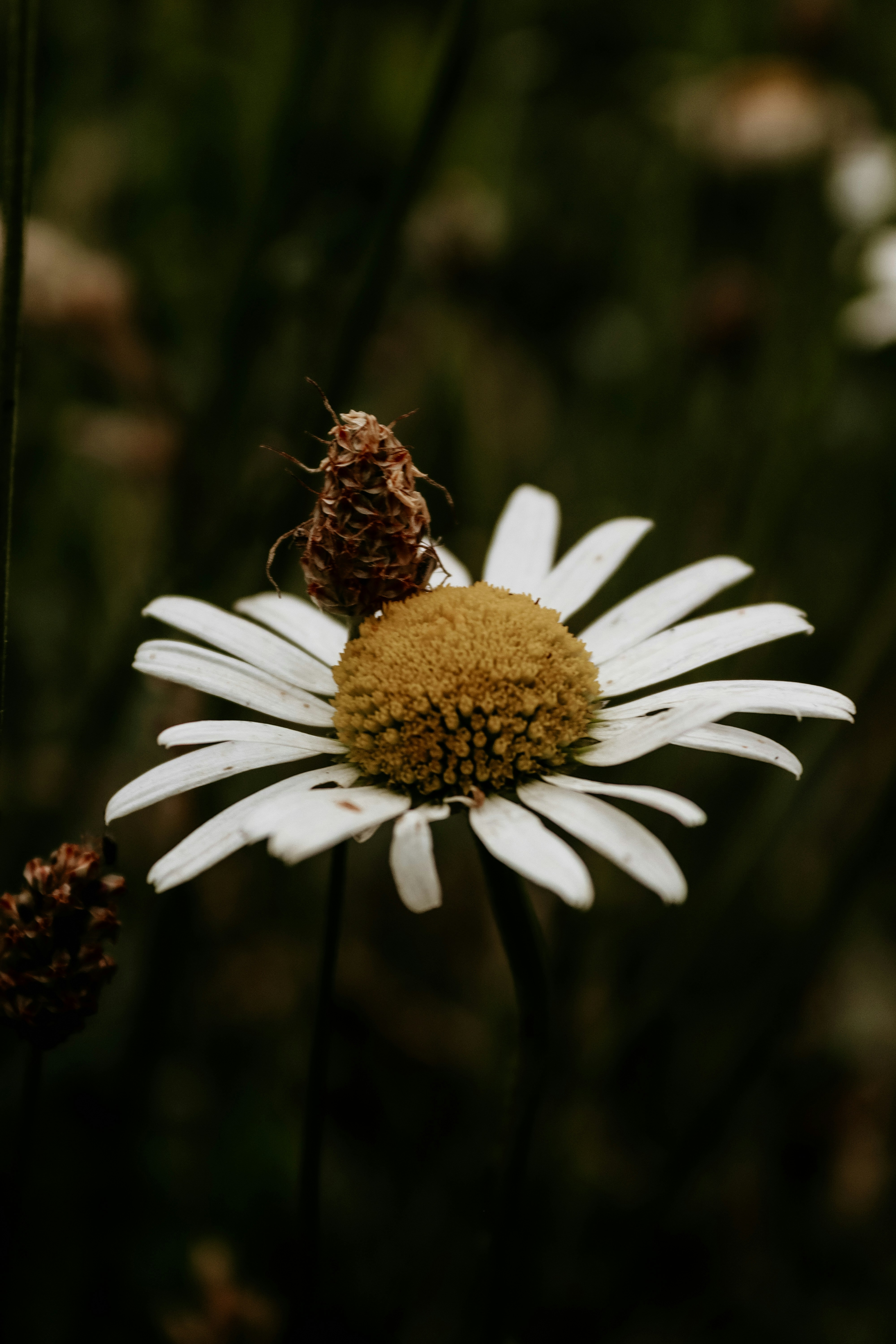 Photo by drphotographer152