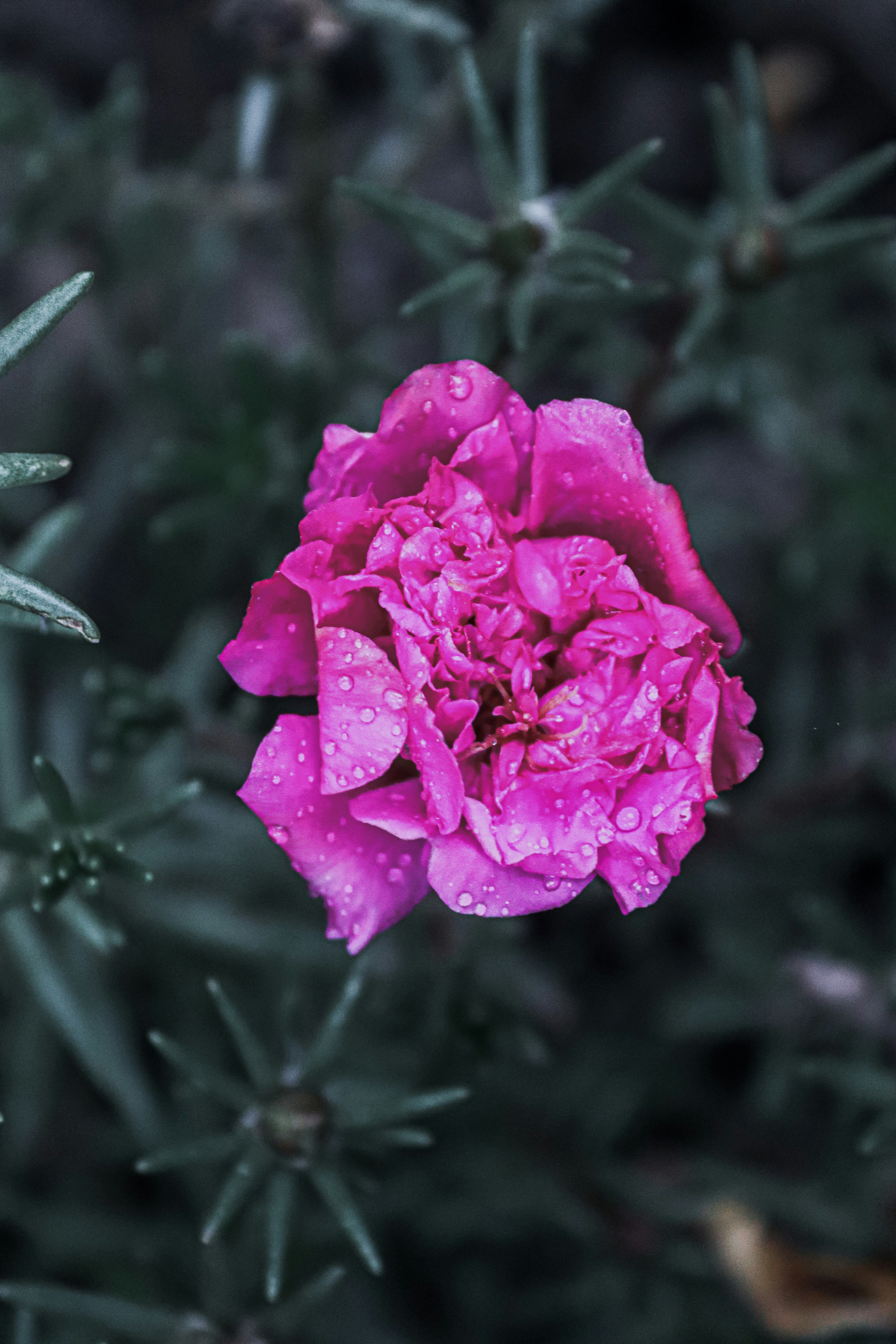 Photo by drphotographer152