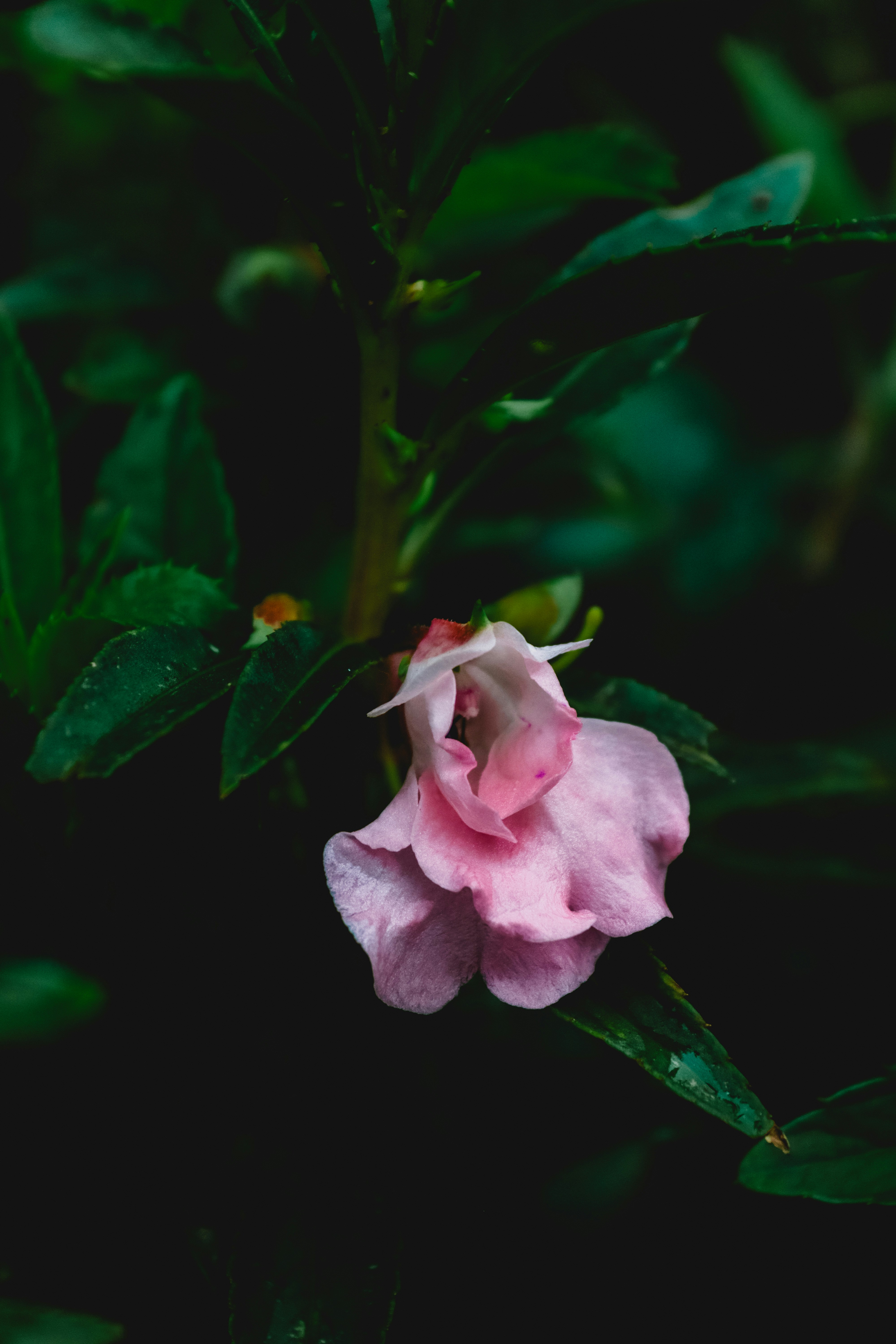 Photo by drphotographer152