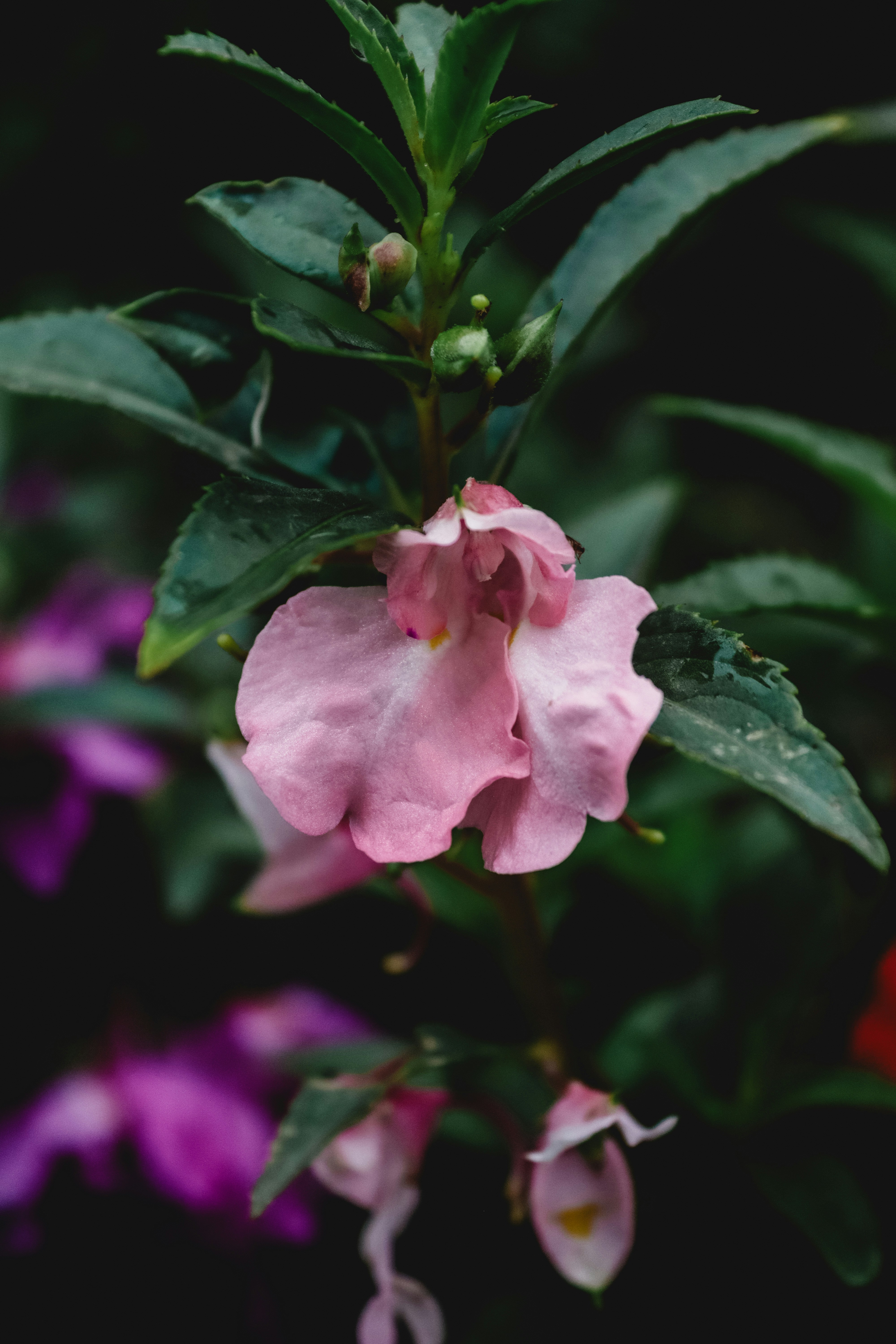 Photo by drphotographer152