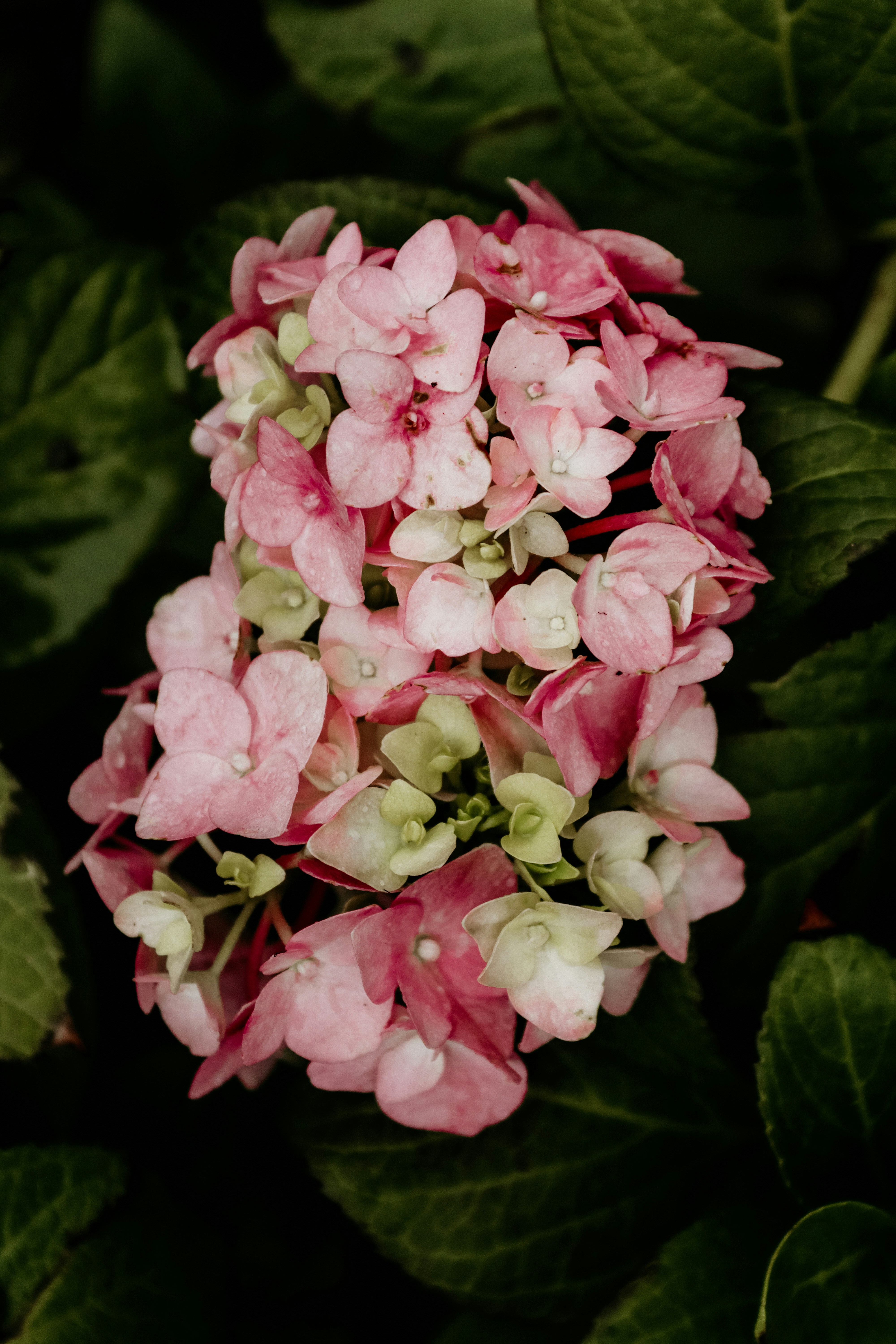 Photo by drphotographer152