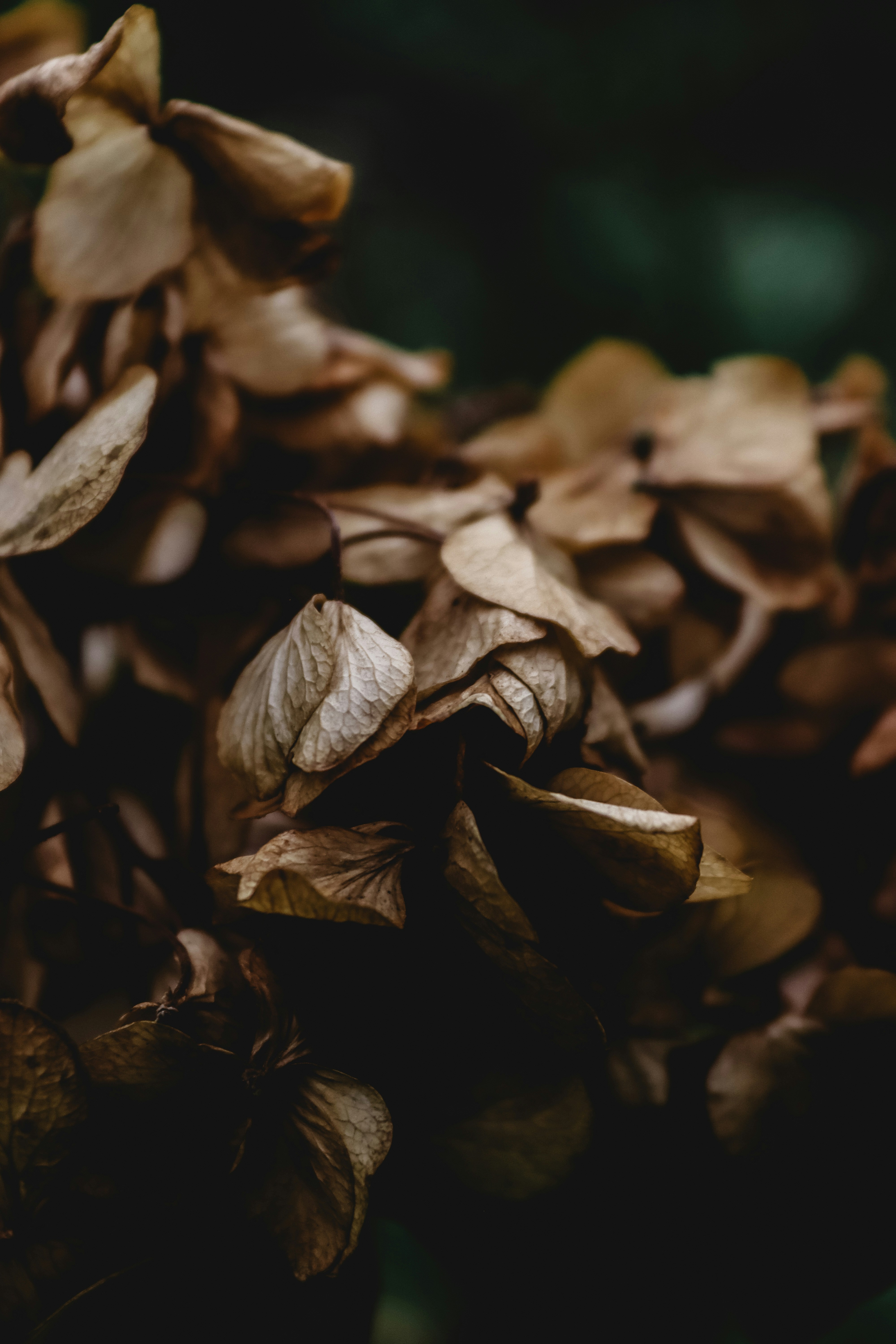 Photo by drphotographer152