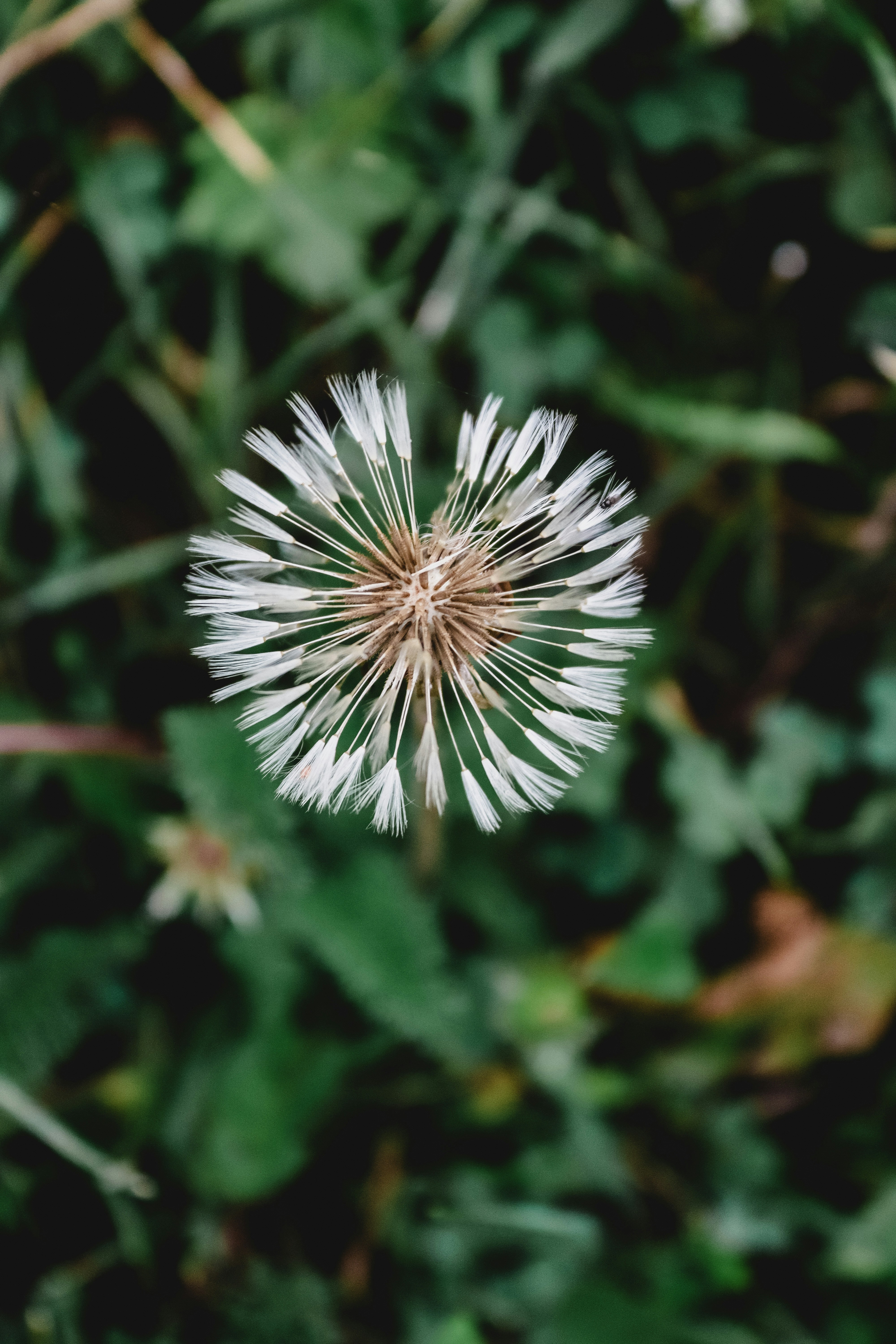 Photo by drphotographer152