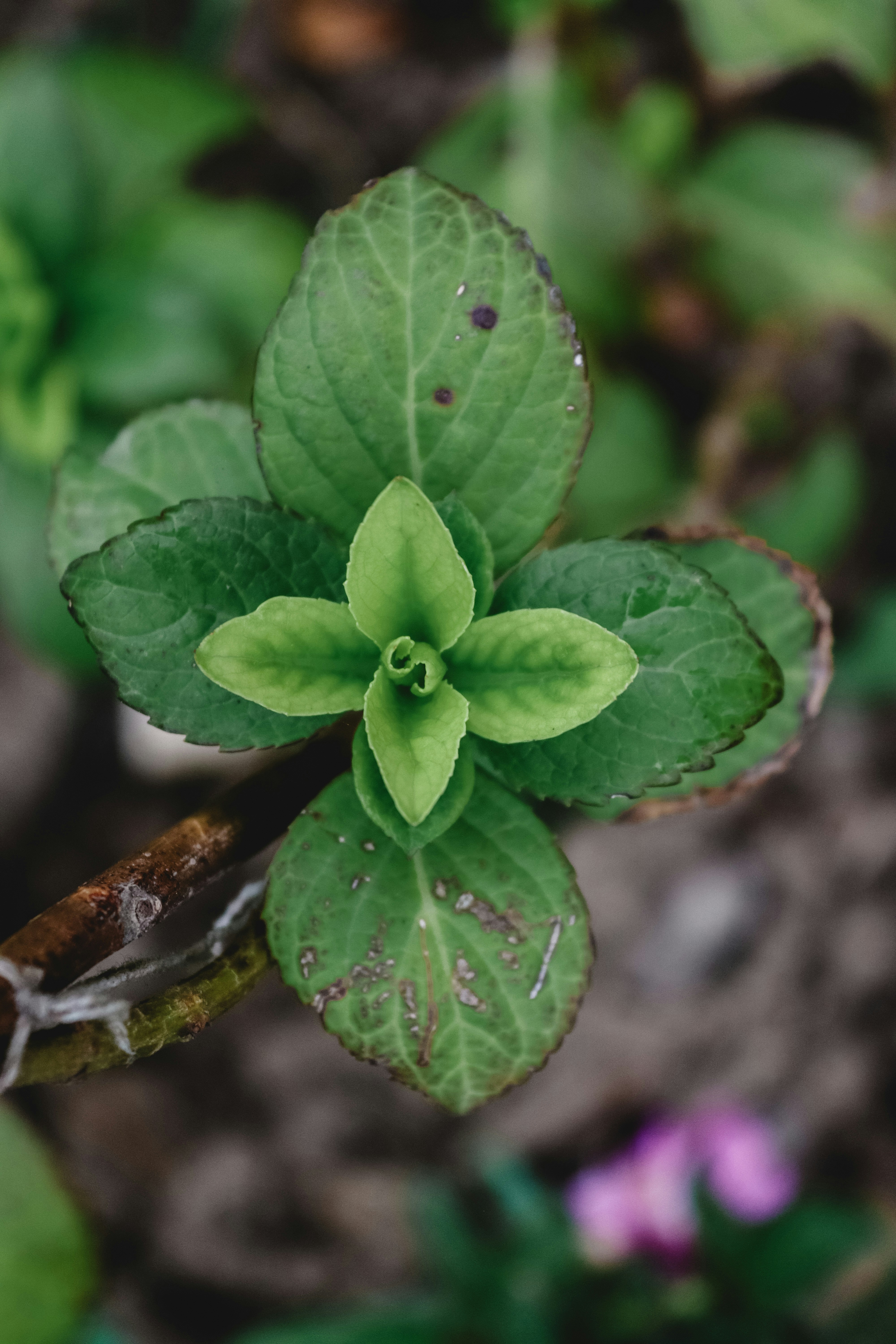 Photo by drphotographer152