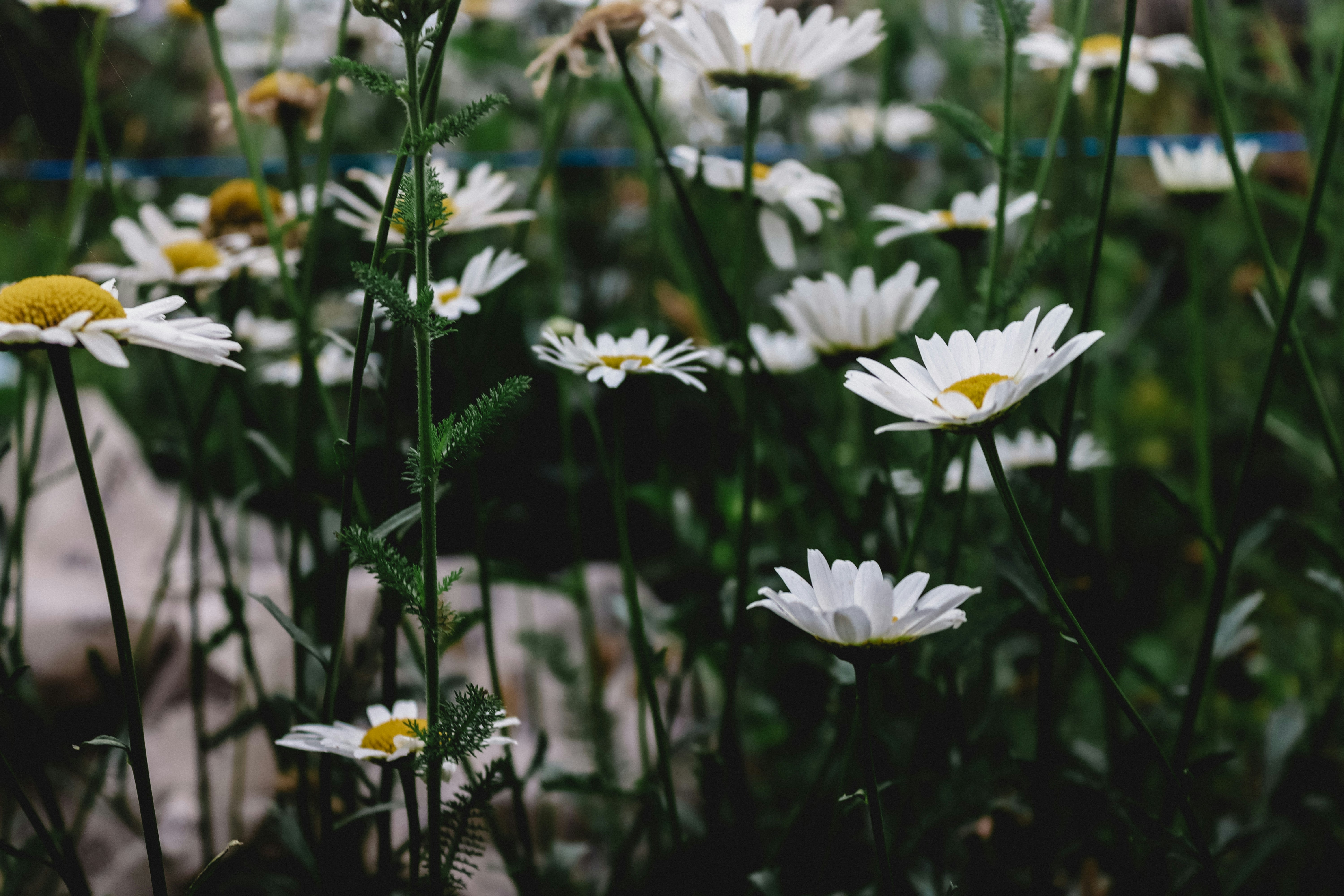 Photo by drphotographer152