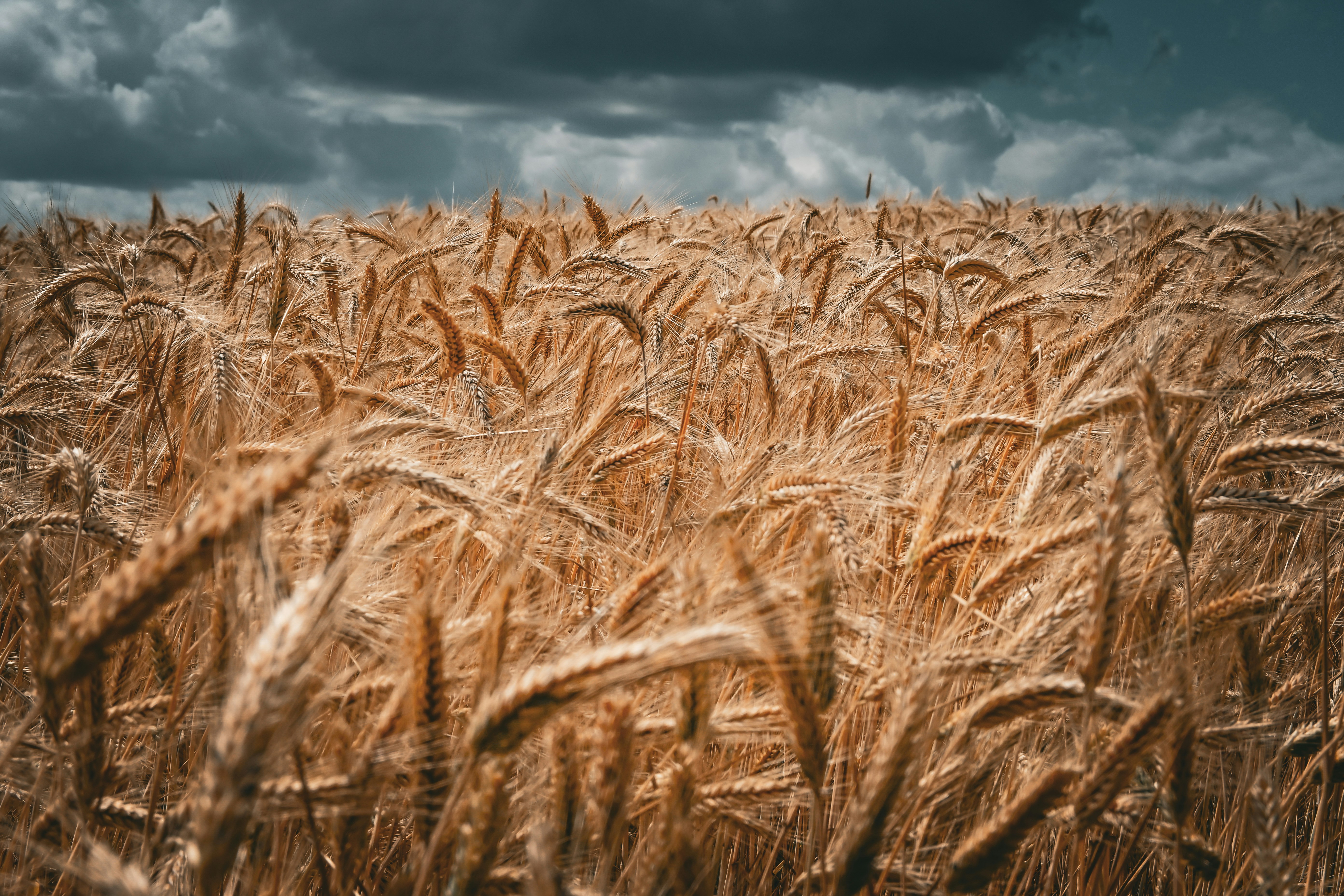 Photo by sylwiabartyzel