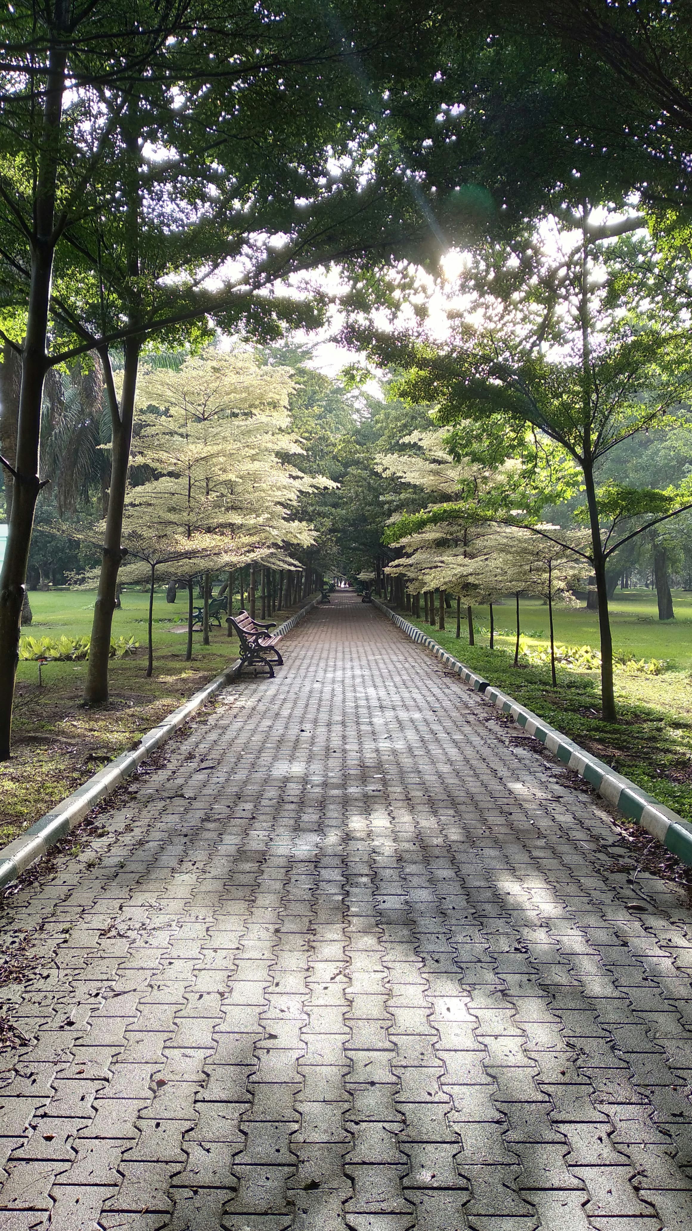 Photo by chinmaydhope18