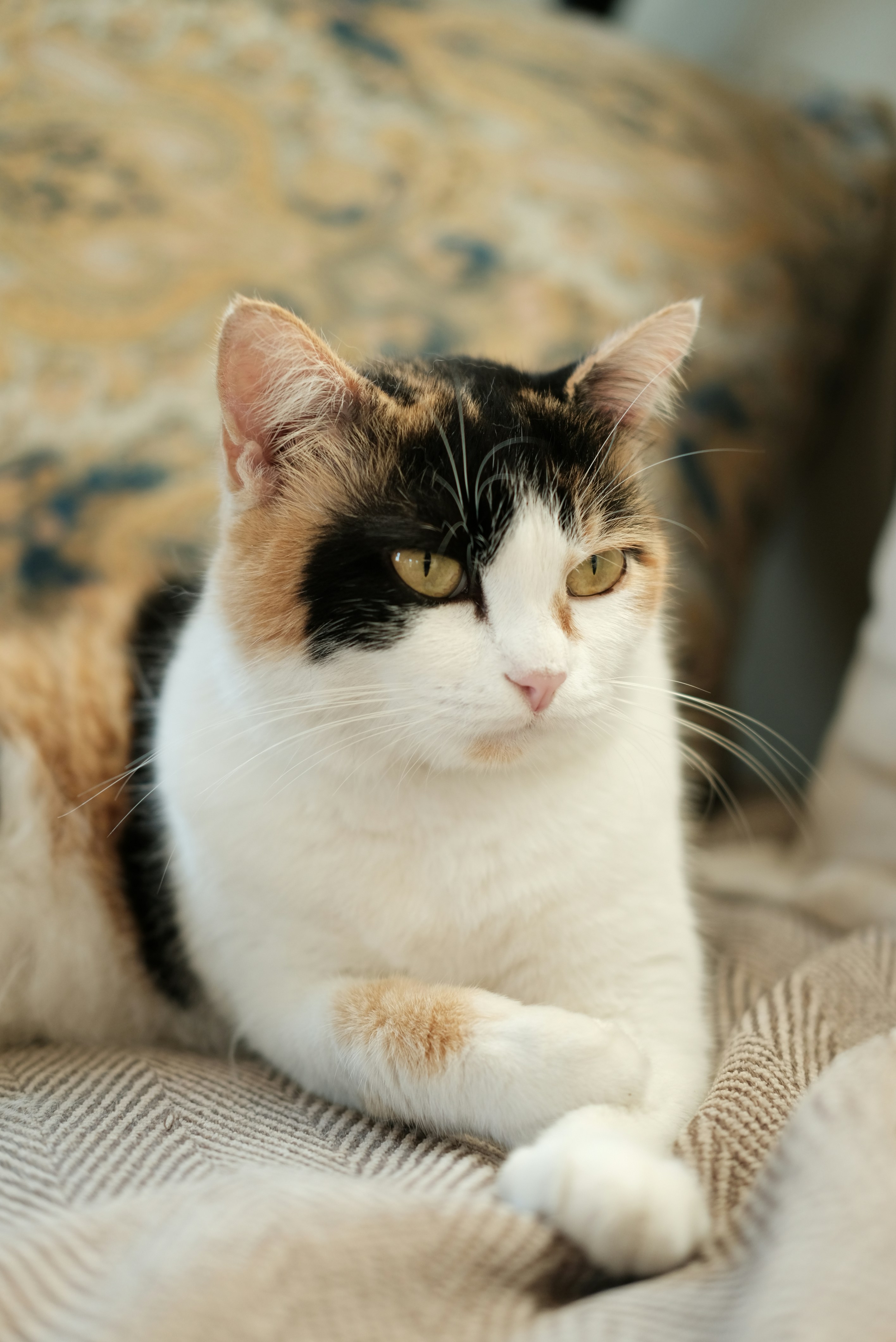 Photo by marcohaenssgen