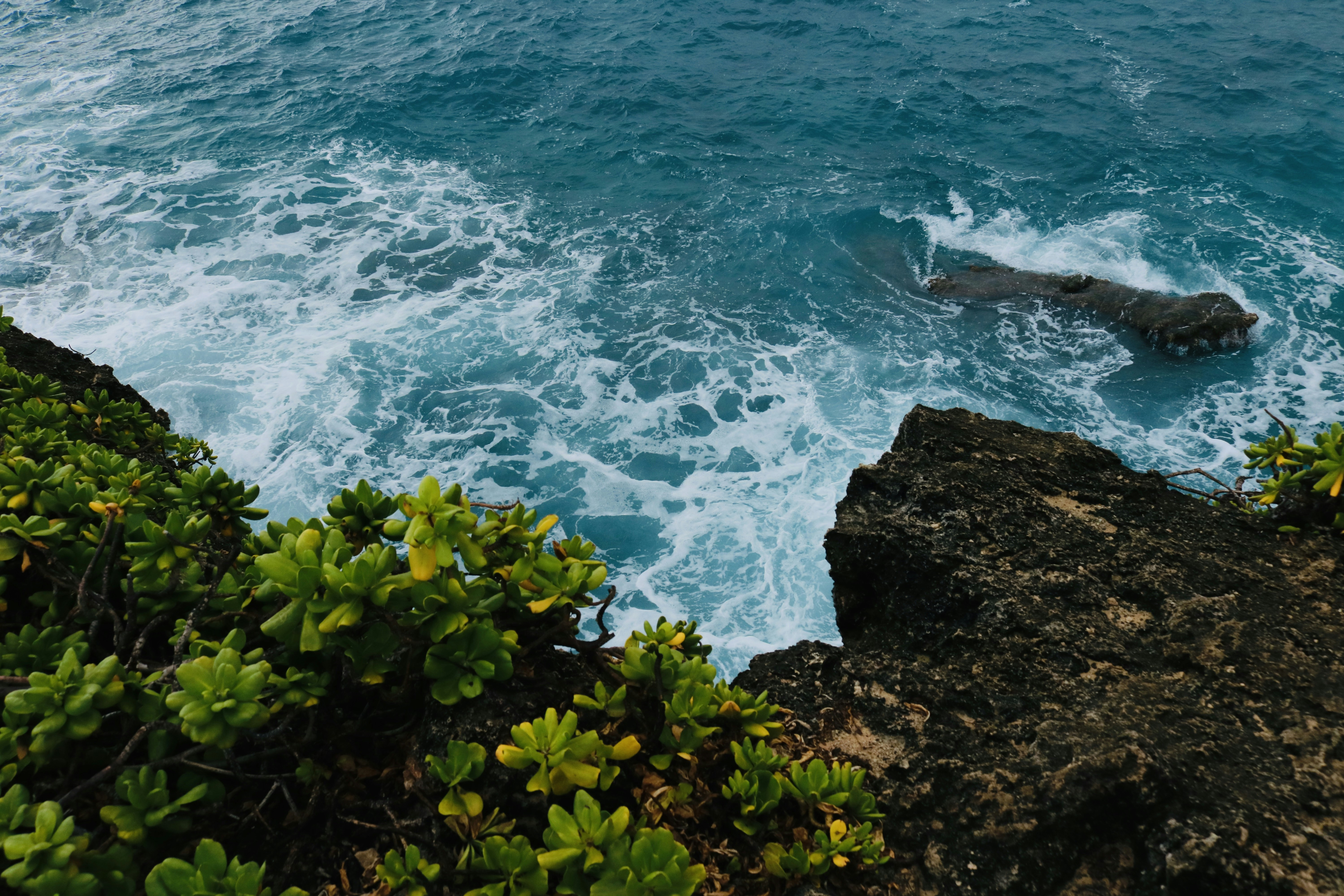 Photo by xiamixuanxuan