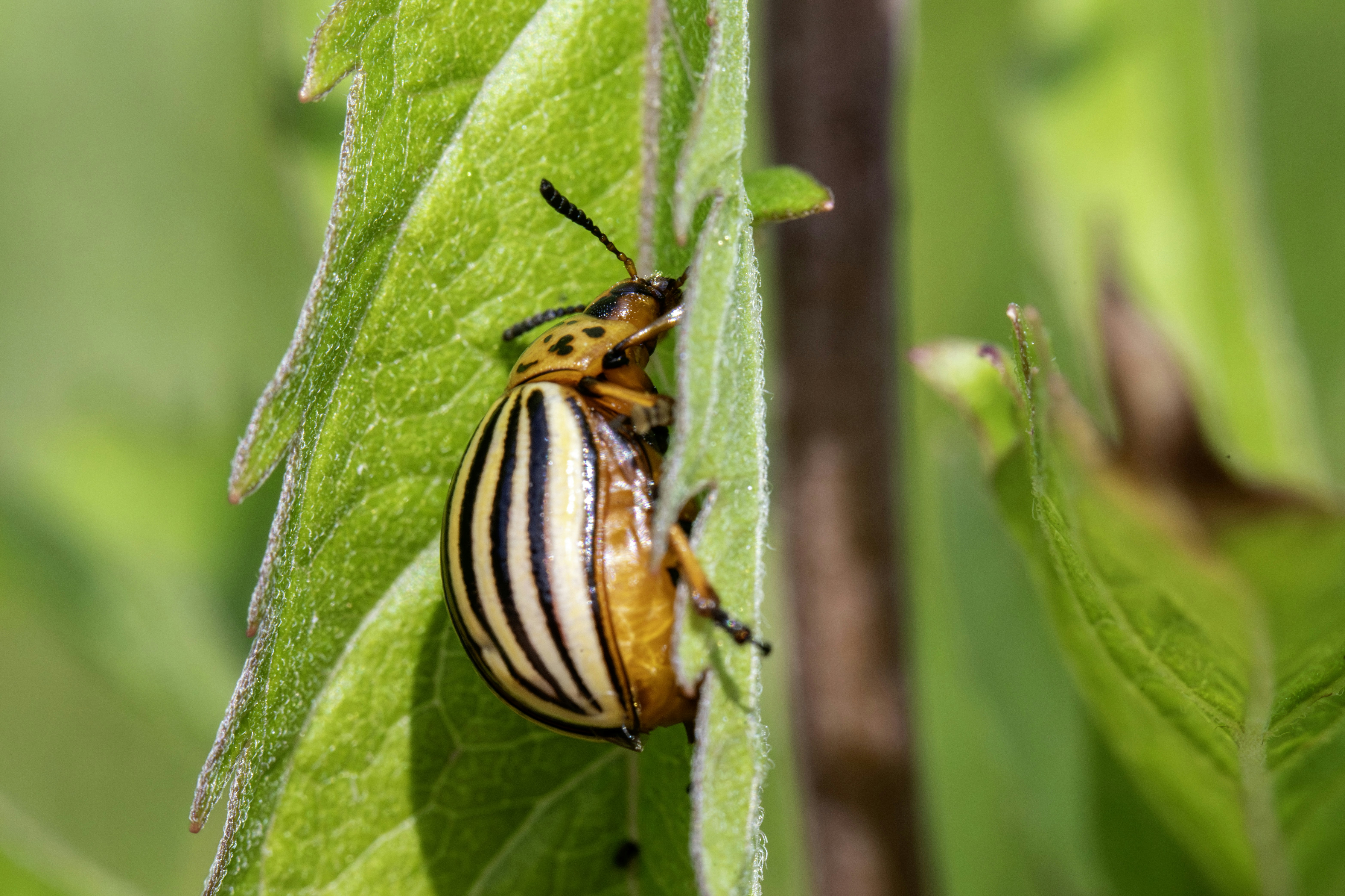 Photo by erik_karits