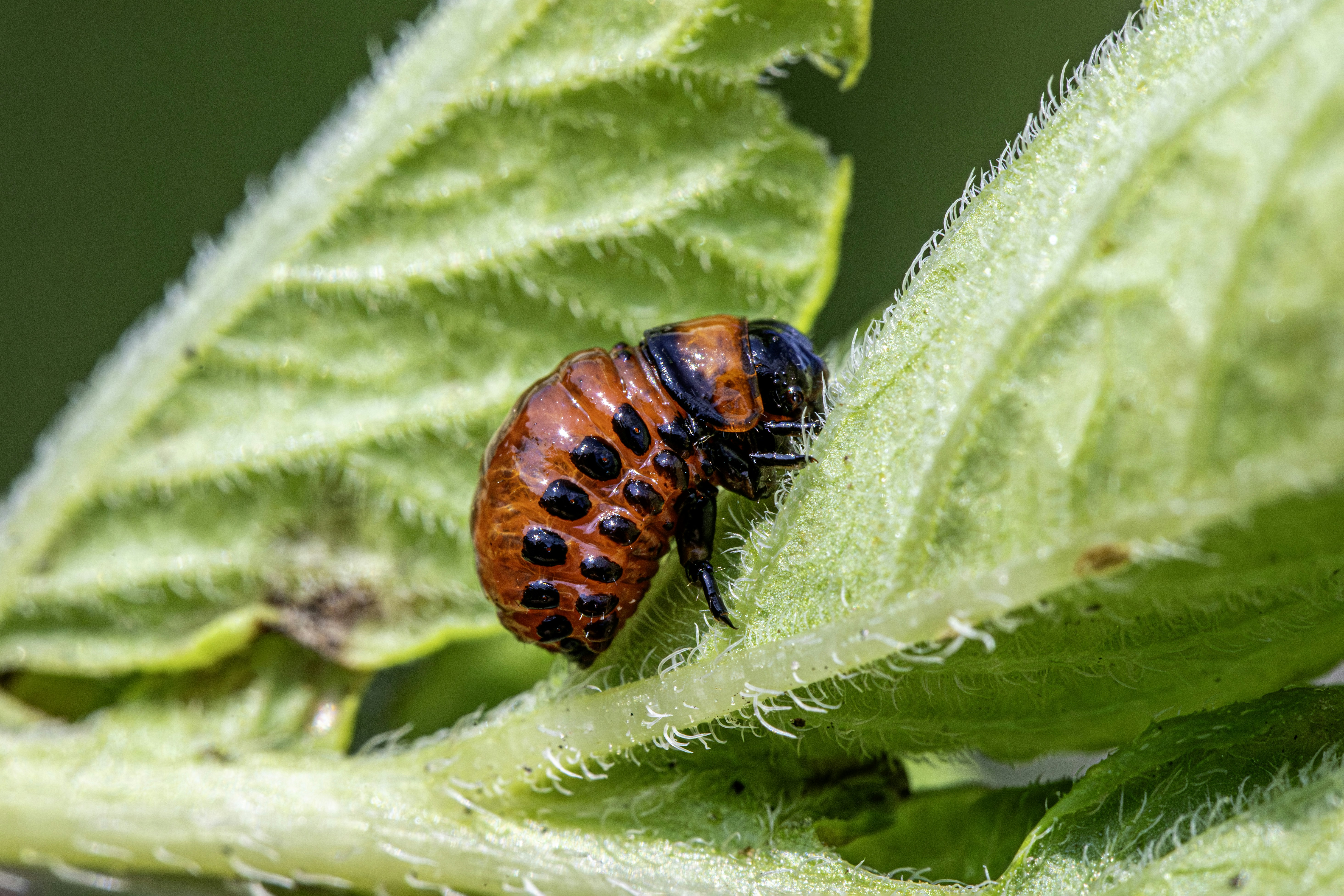 Photo by erik_karits