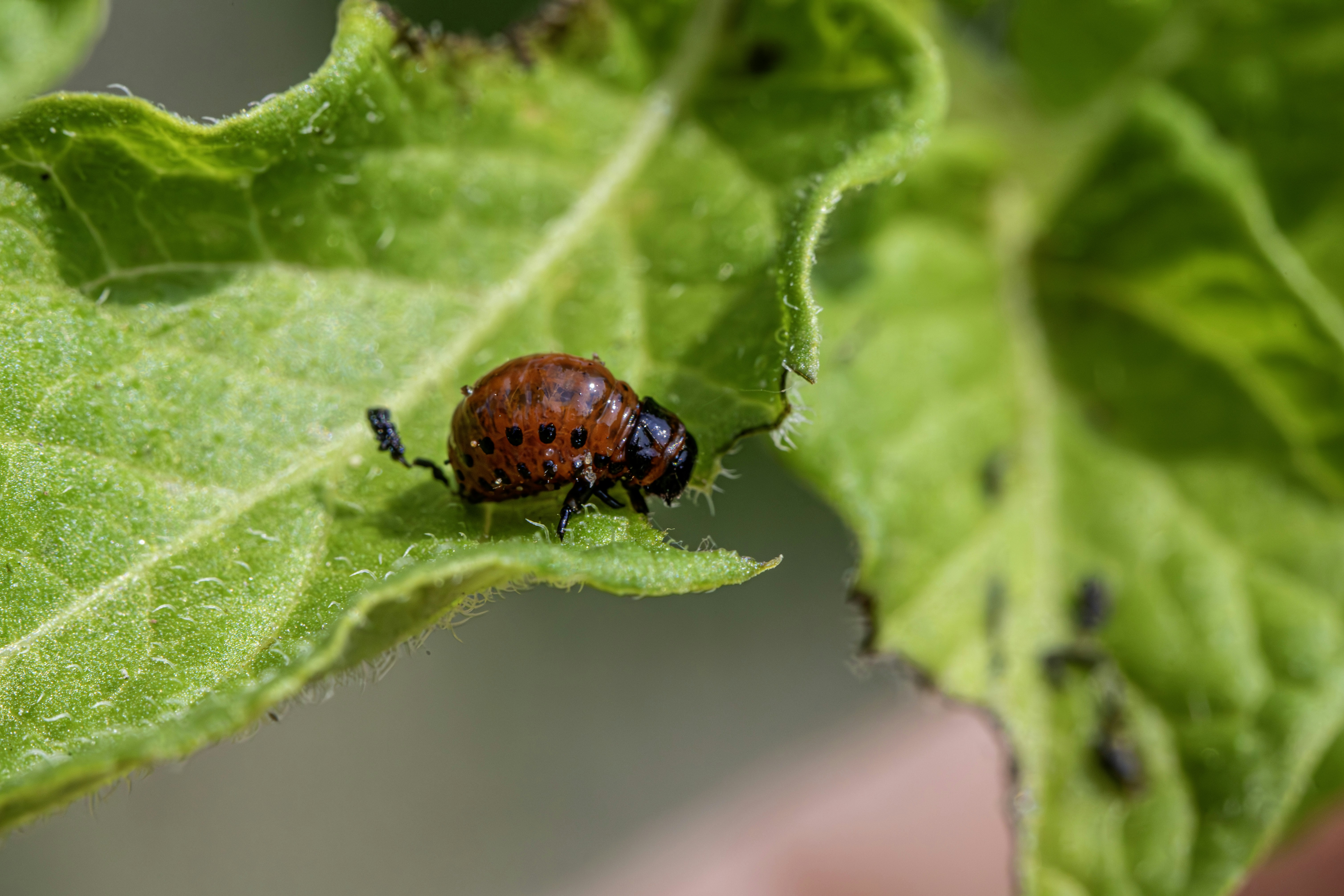 Photo by erik_karits