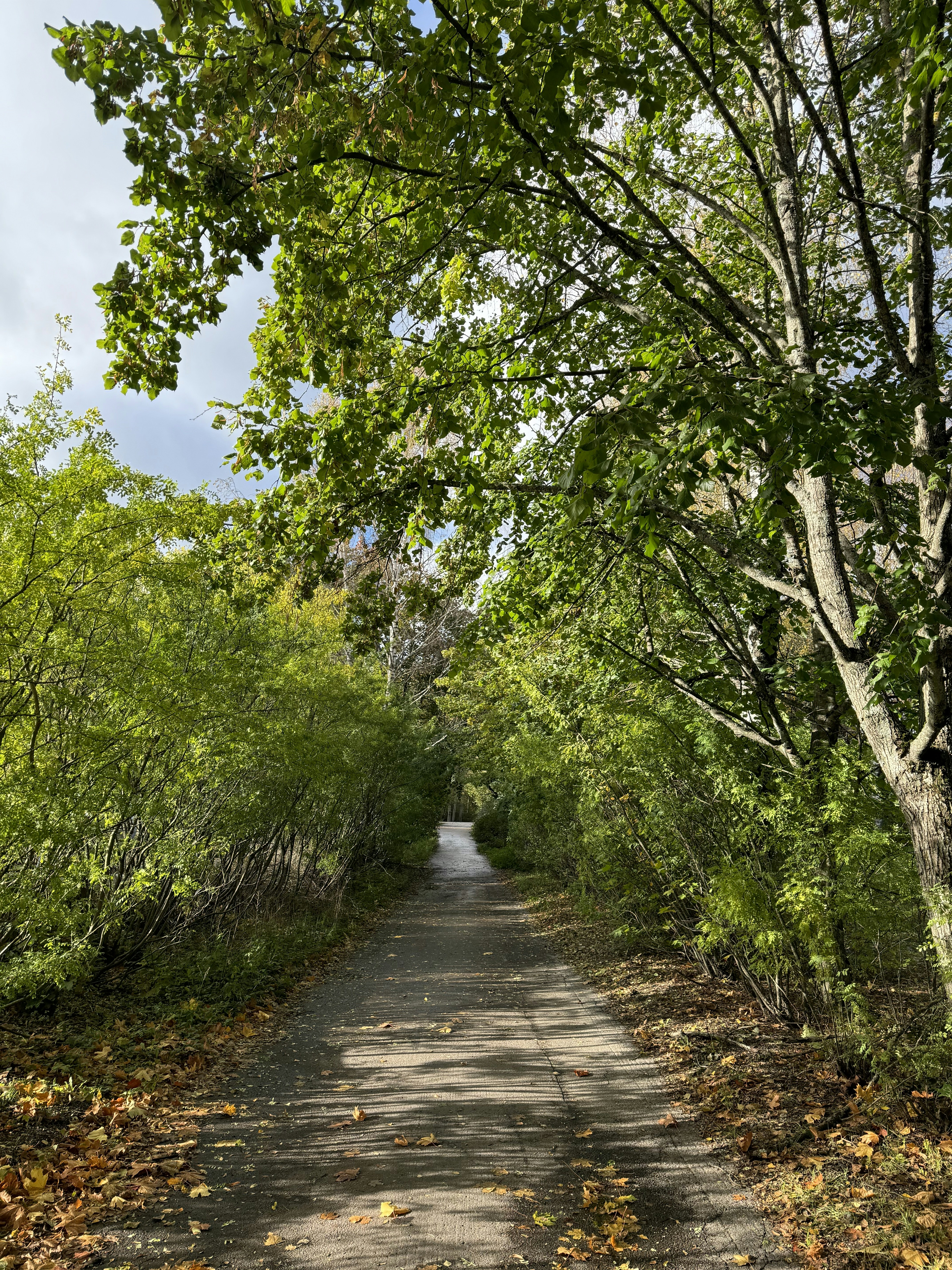 Photo by shehanamarakoon