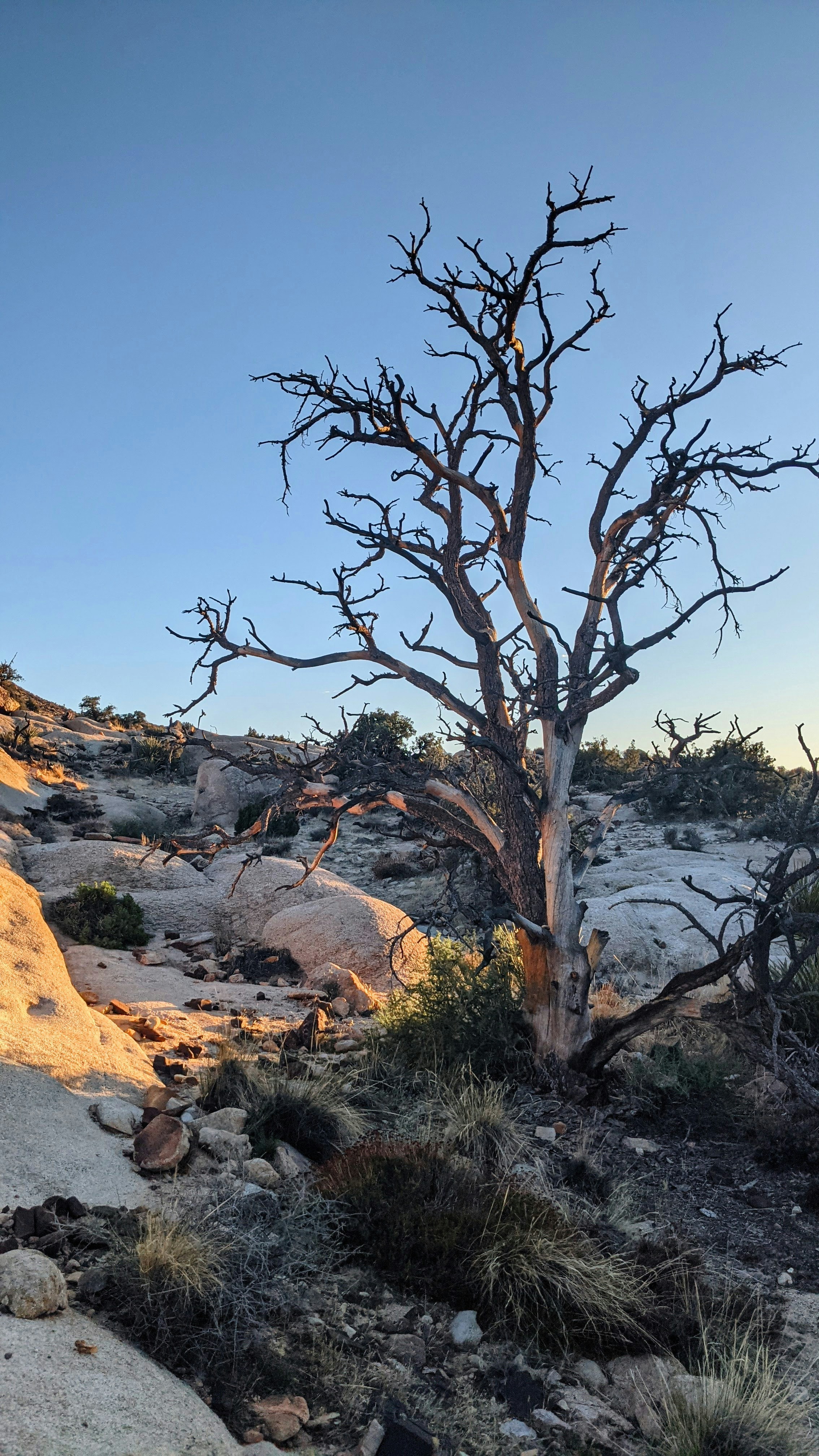 Photo by iramykhailova