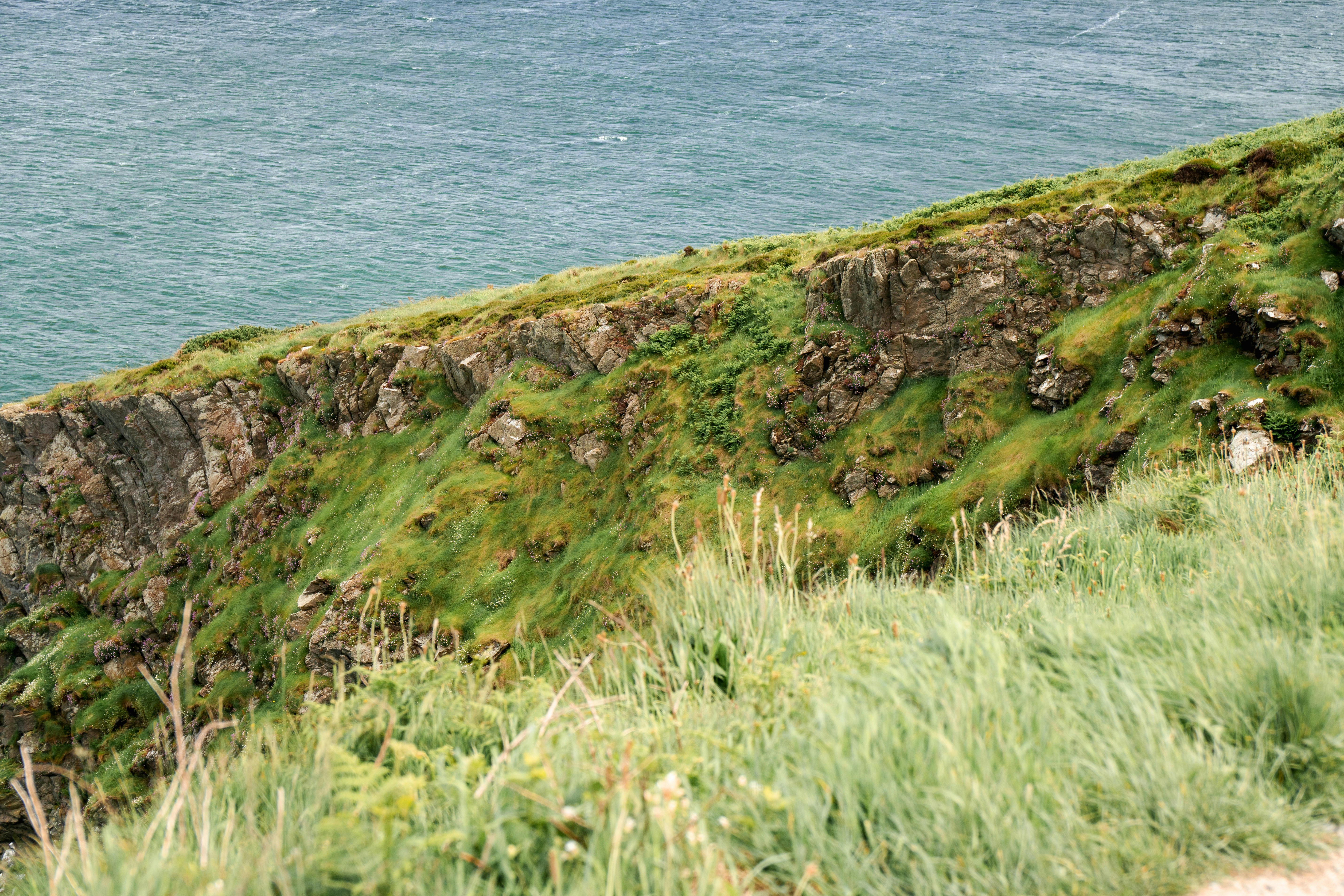 Photo by taylorkeeran