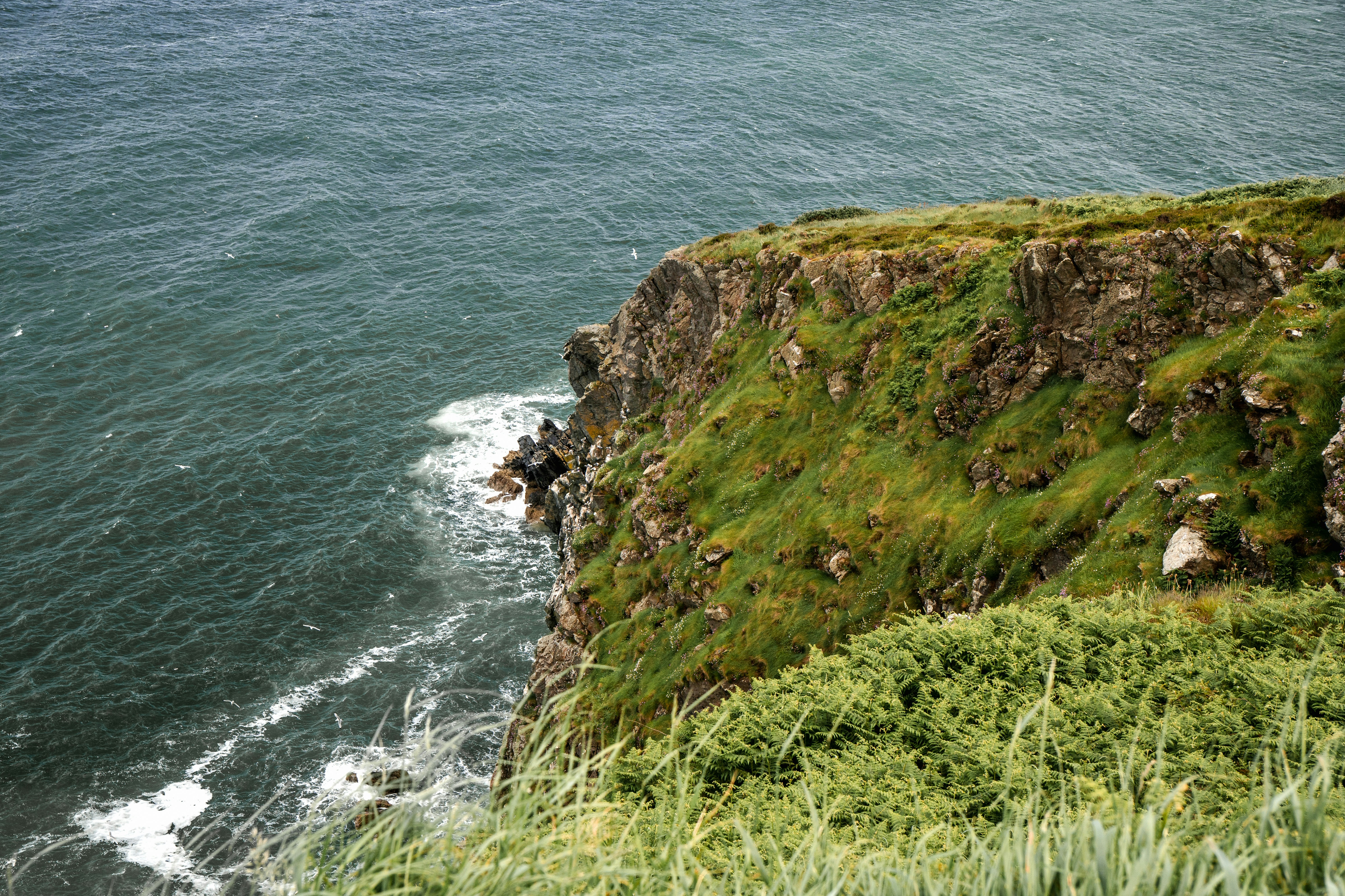 Photo by taylorkeeran