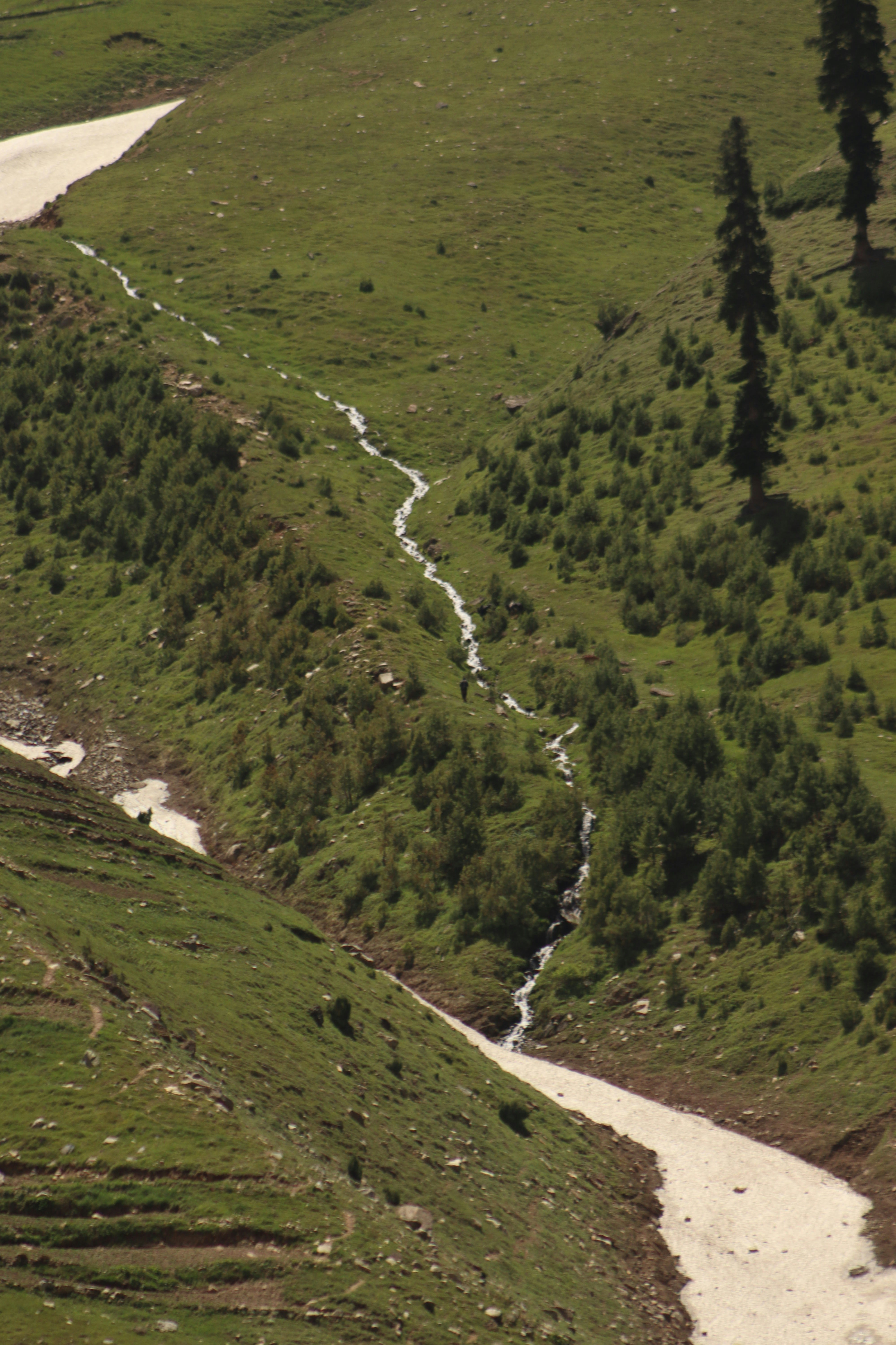 Photo by drphotographer152