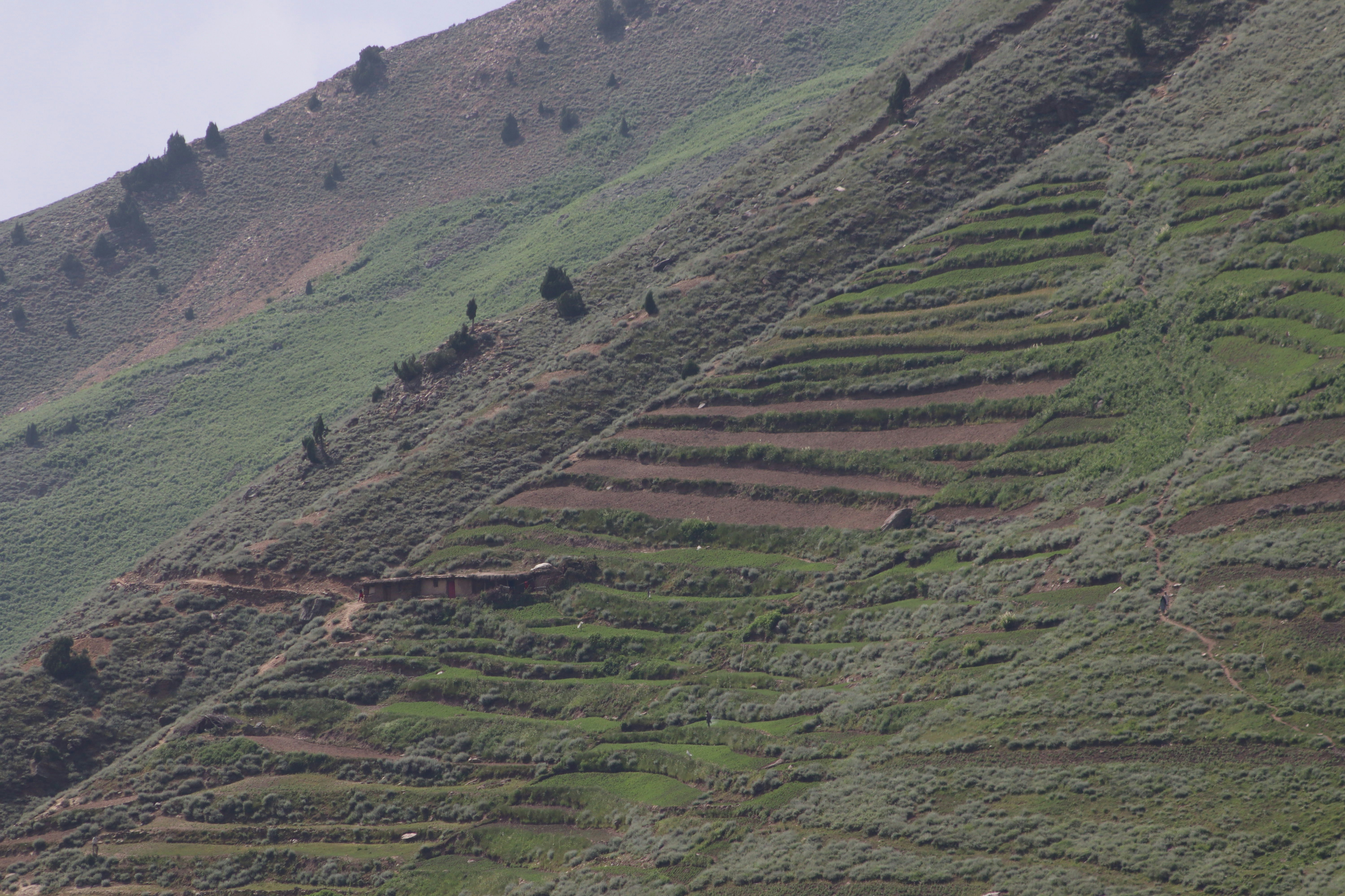 Photo by drphotographer152