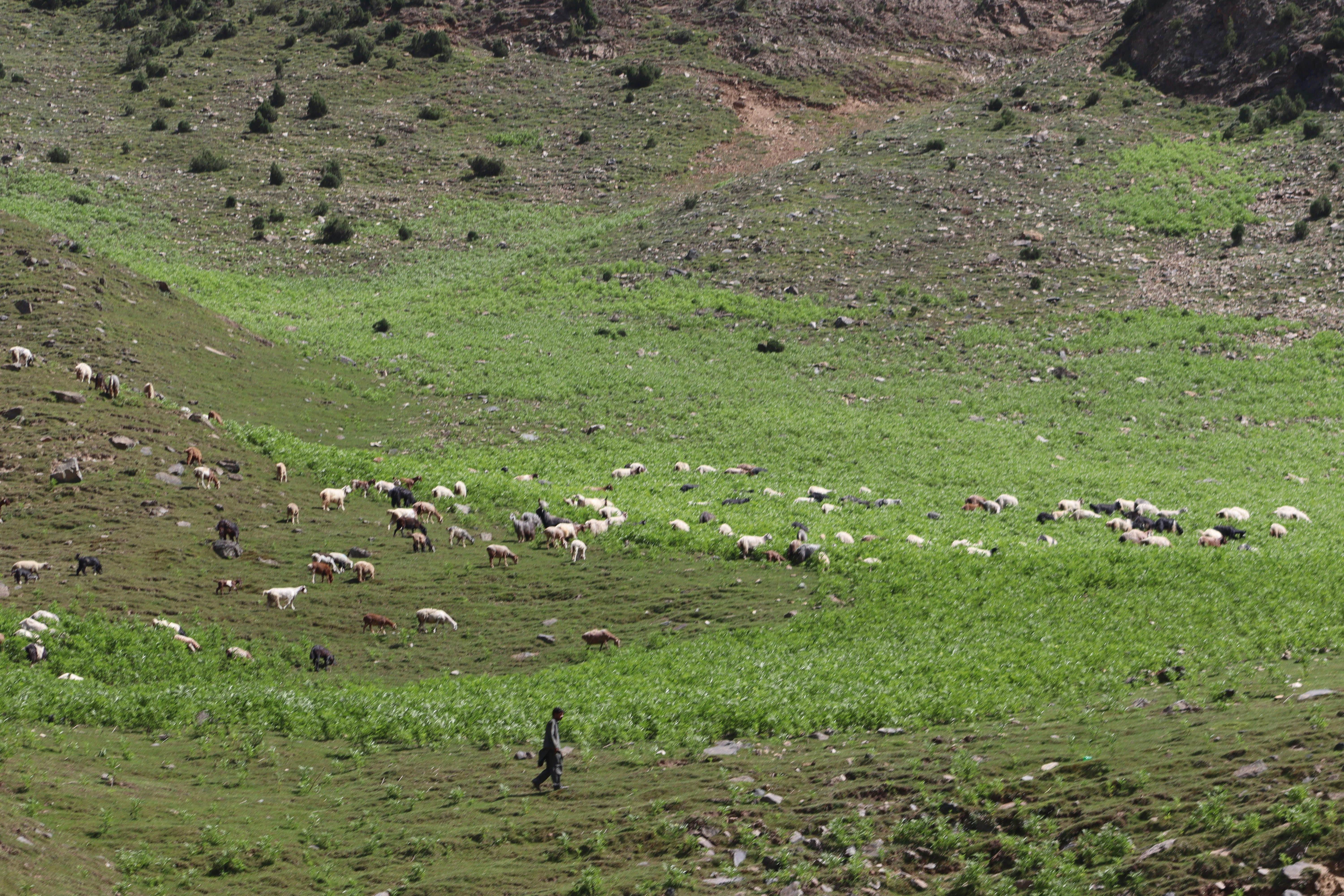 Photo by drphotographer152