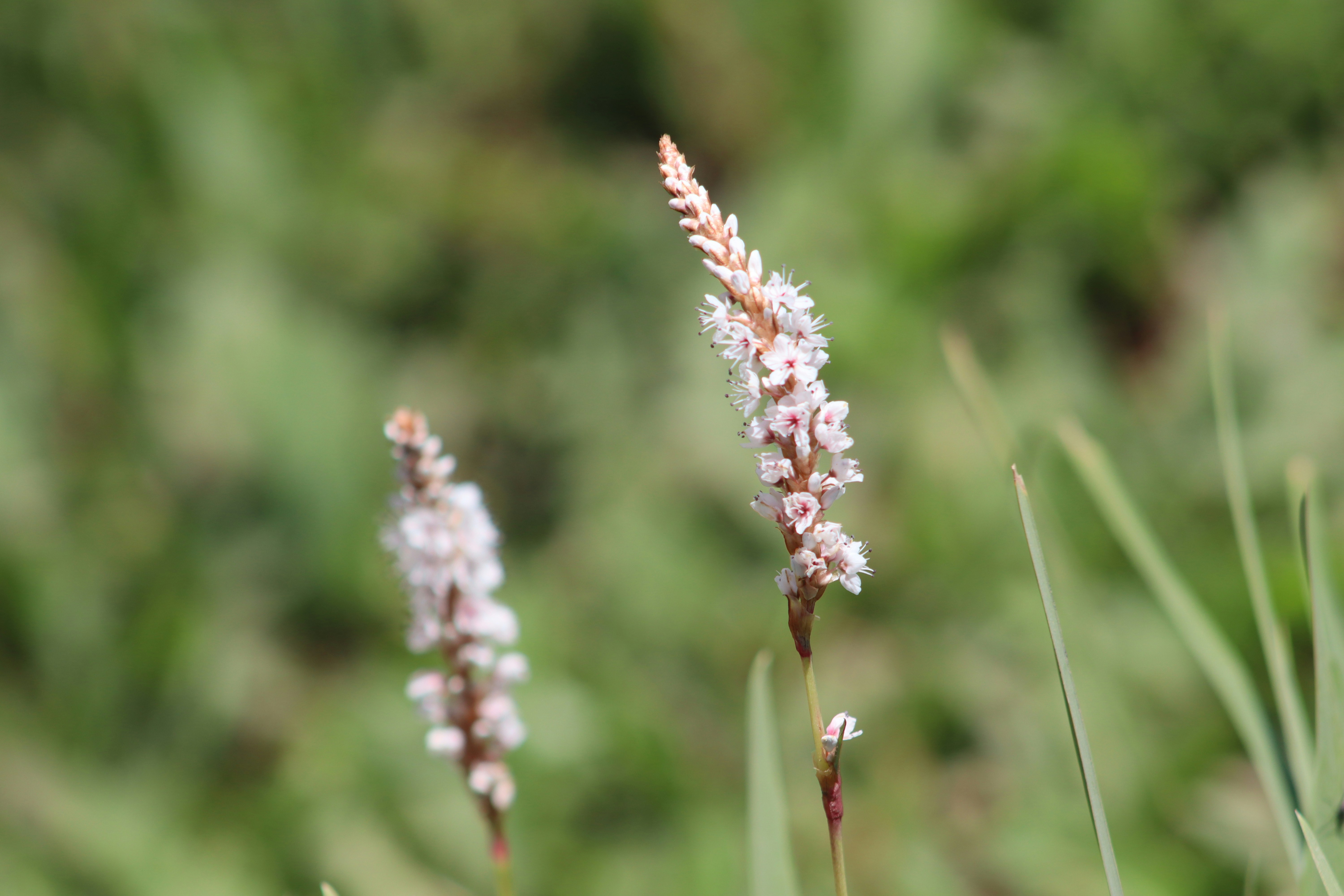 Photo by drphotographer152