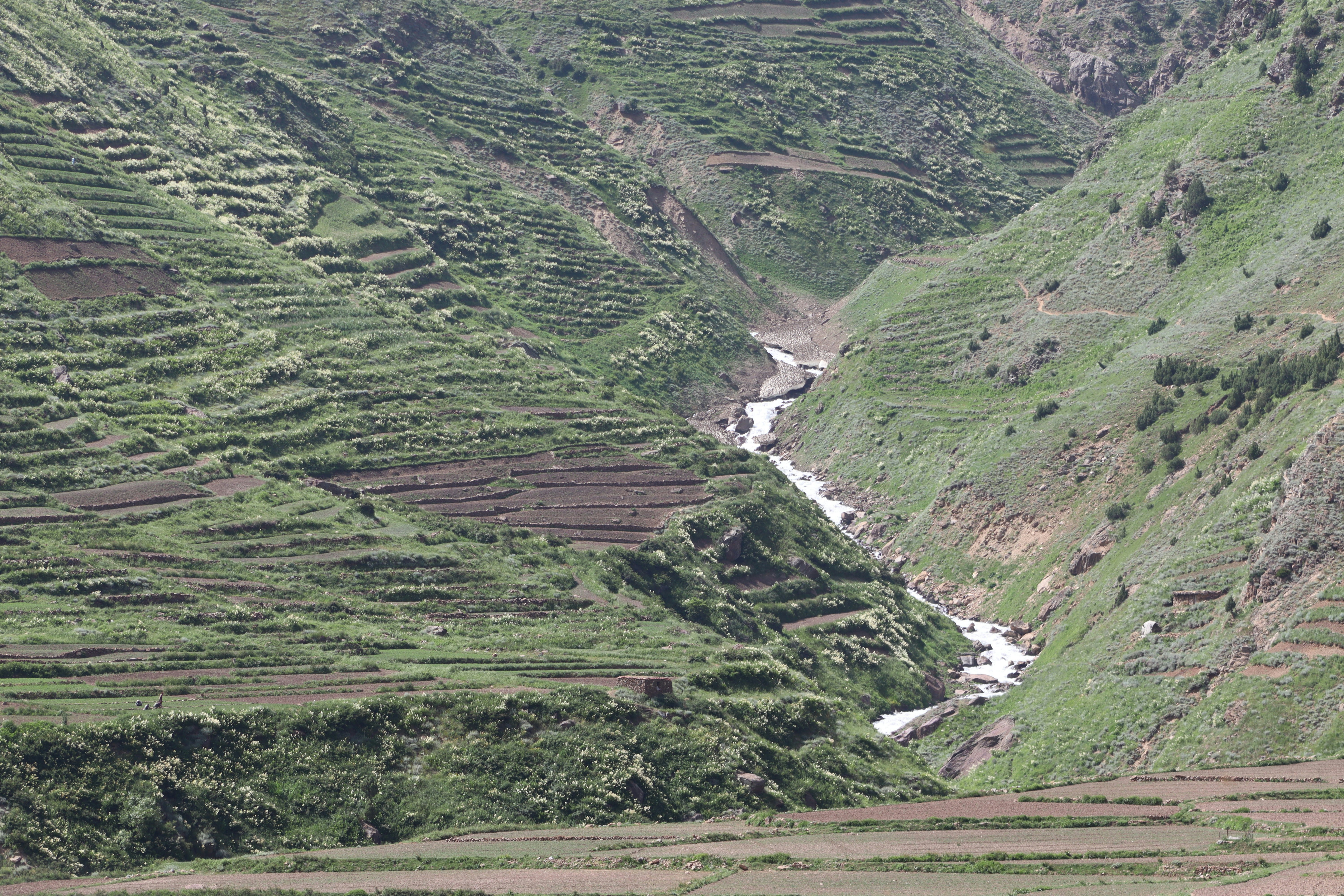 Photo by drphotographer152