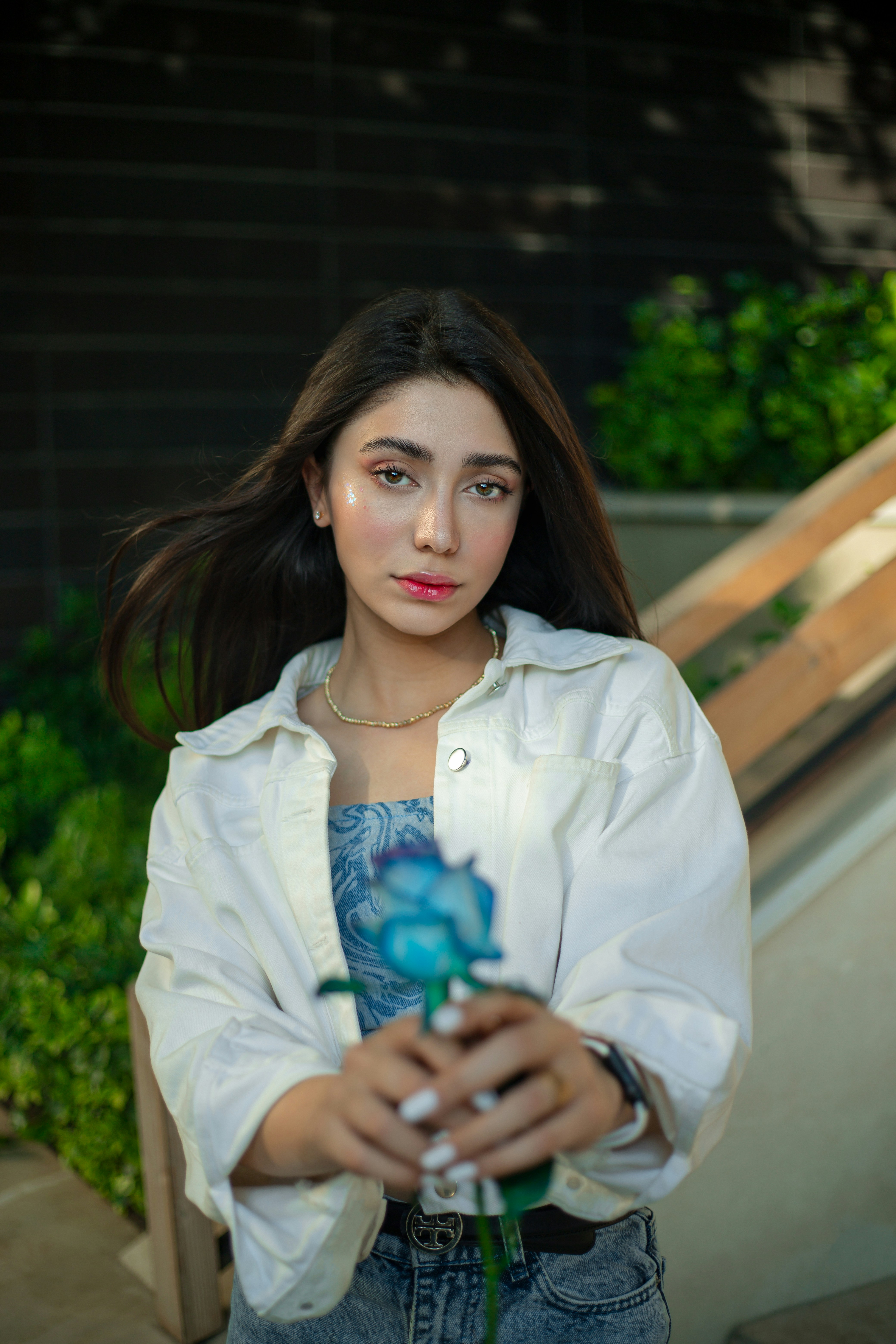 Photo by amirabbaspoor