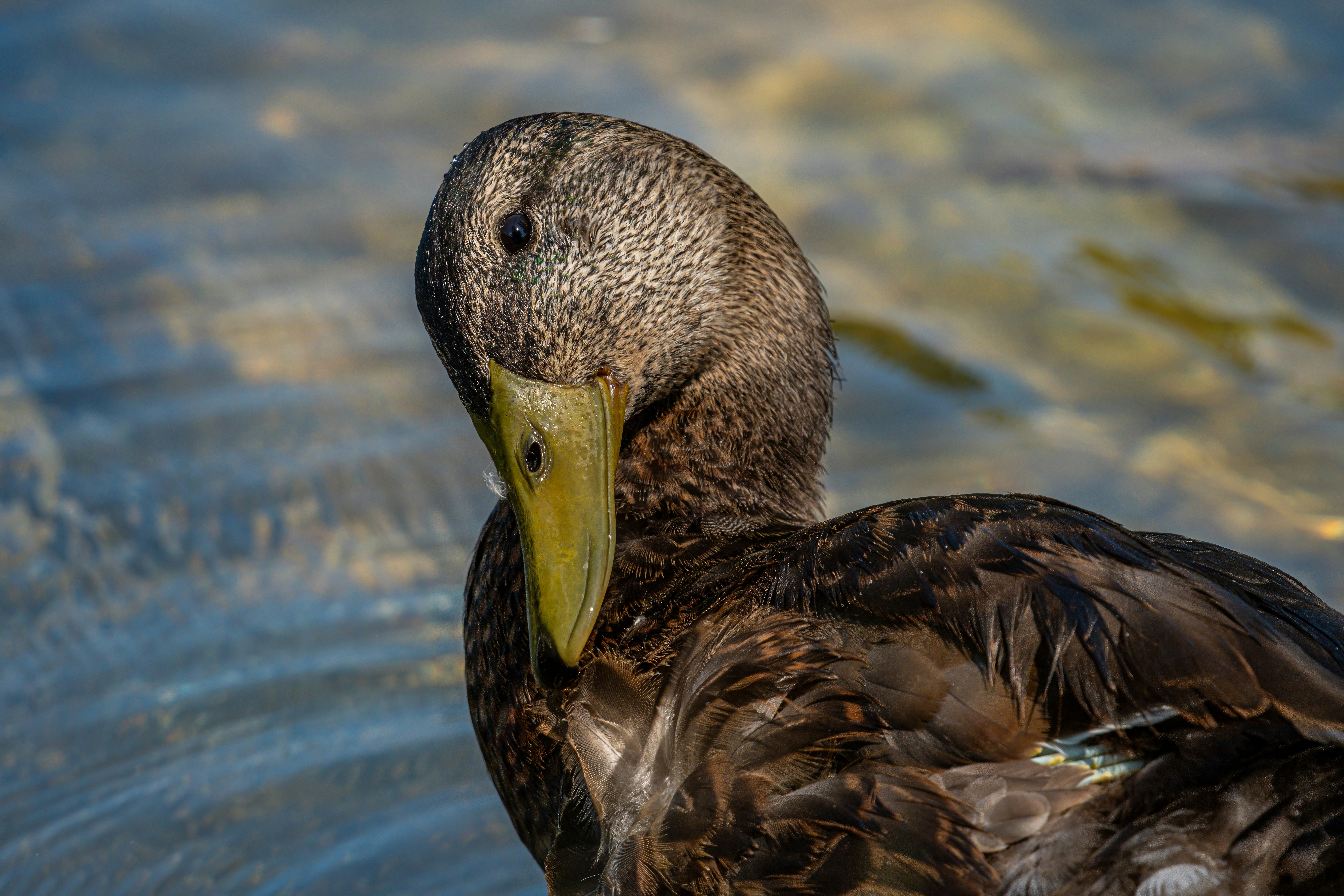 Photo by alexandredaoust