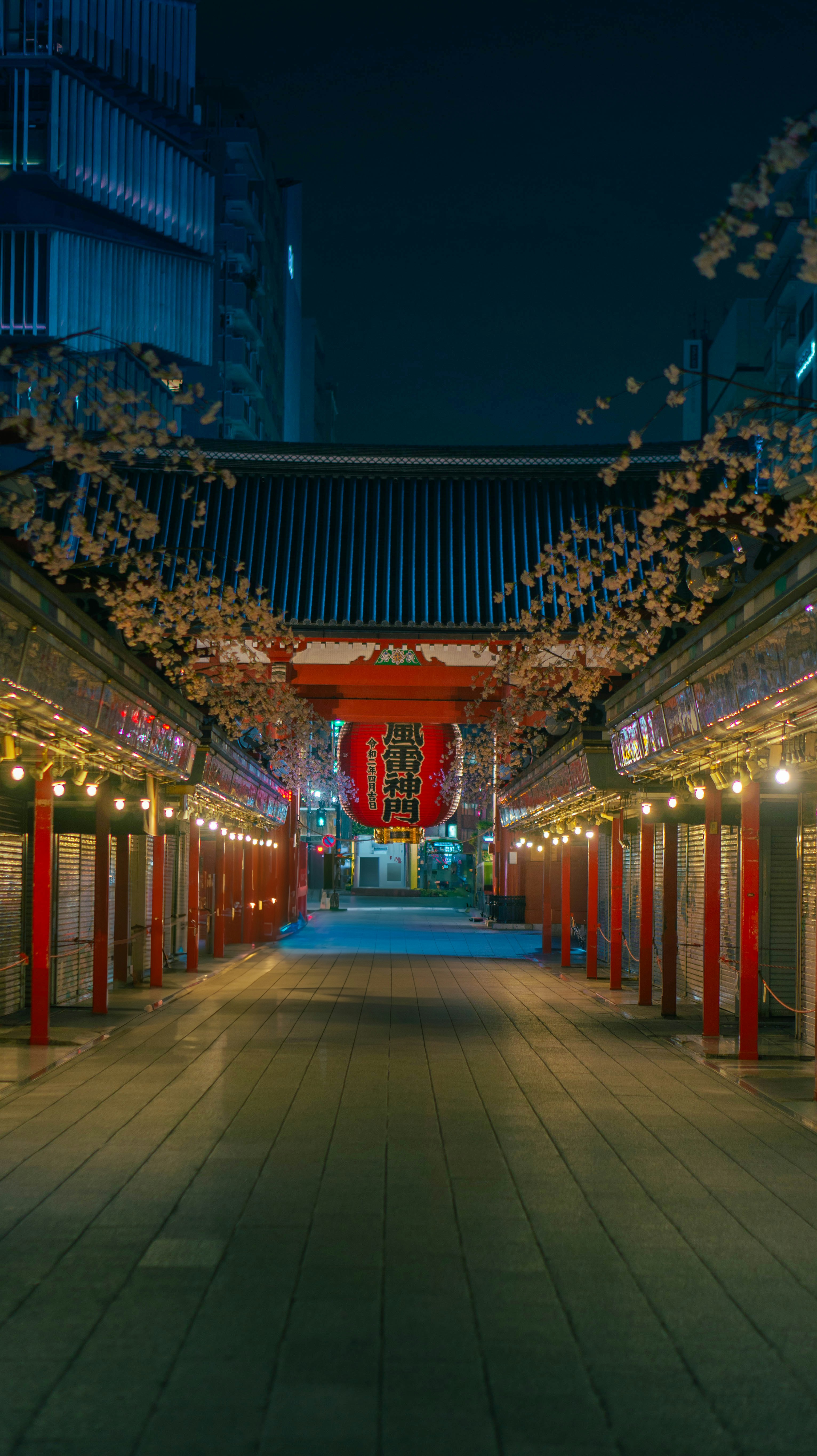 A long walkway lined with red pillars under a night sky
