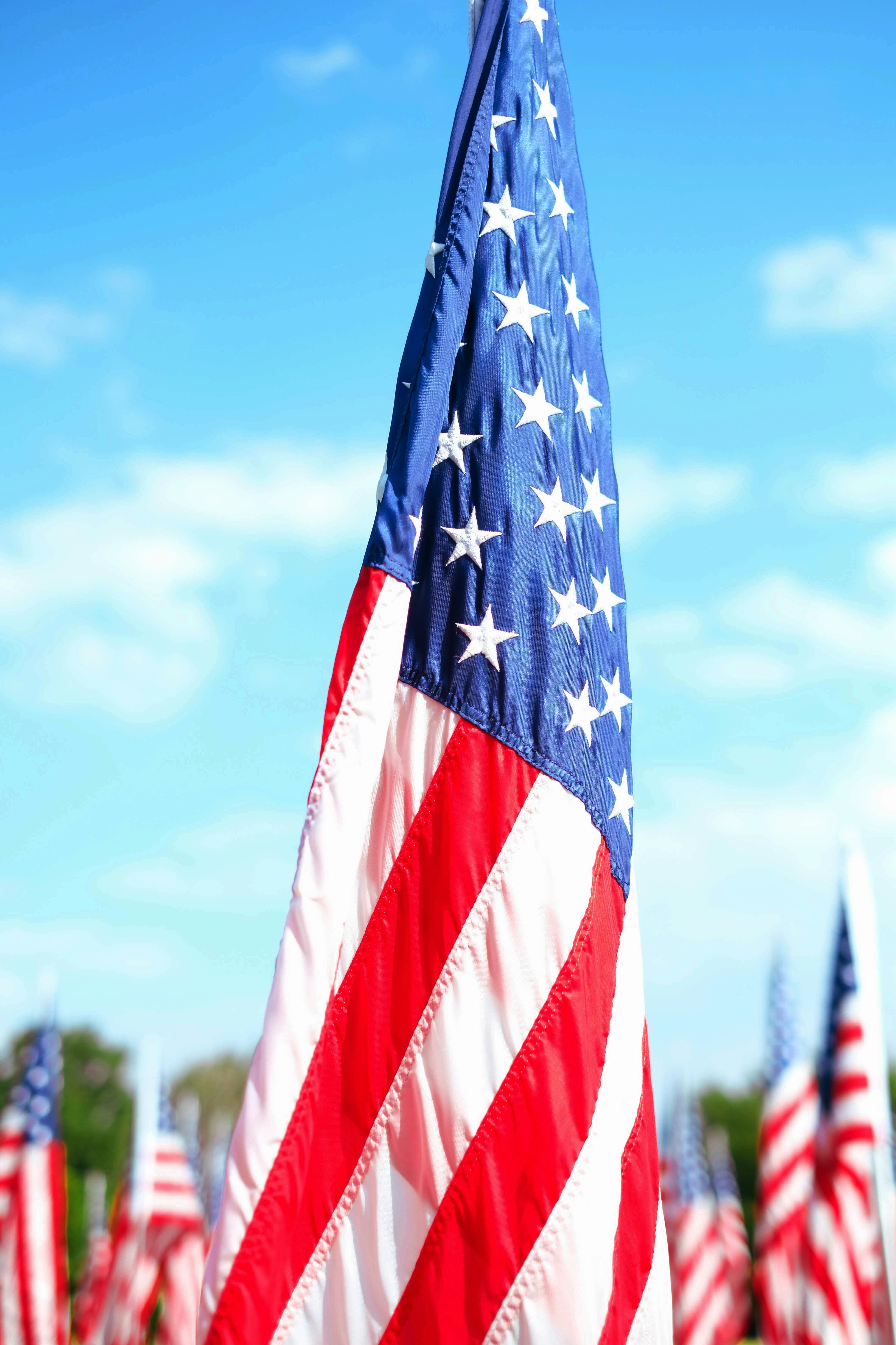 A group of american flags in a field