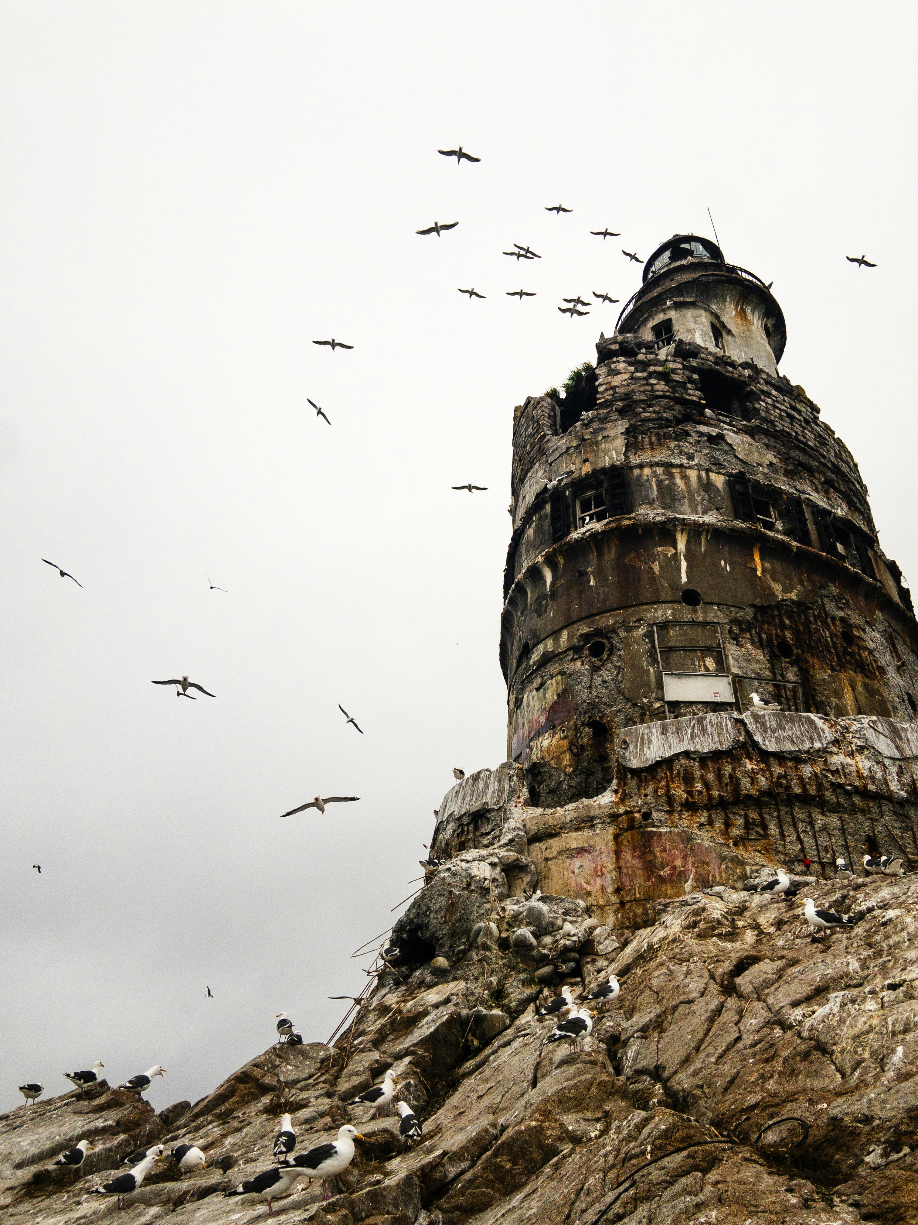 Uma torre muito alta com um bando de pássaros voando ao redor dela