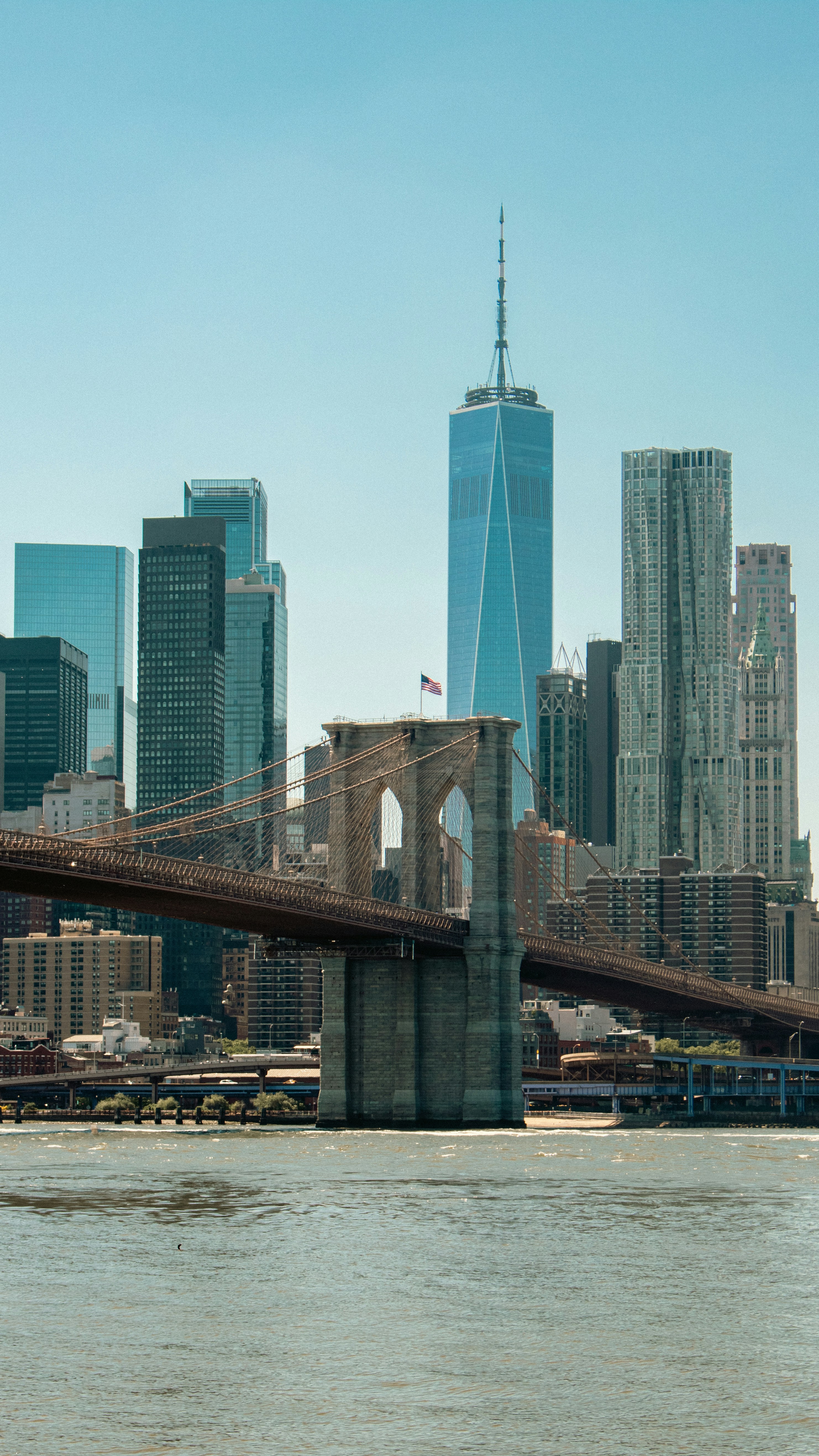 Photo by zoshuacolah