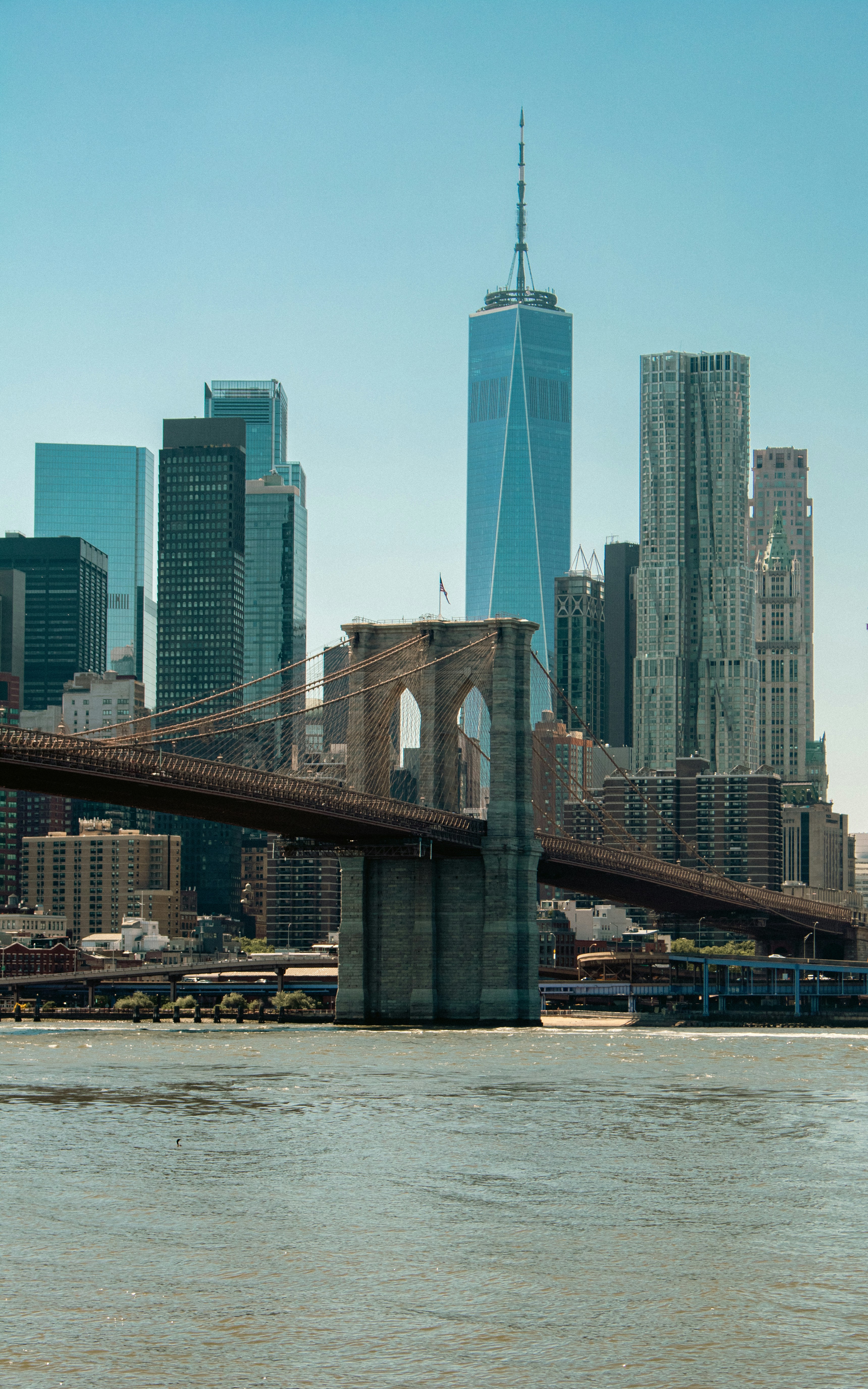 Photo by zoshuacolah