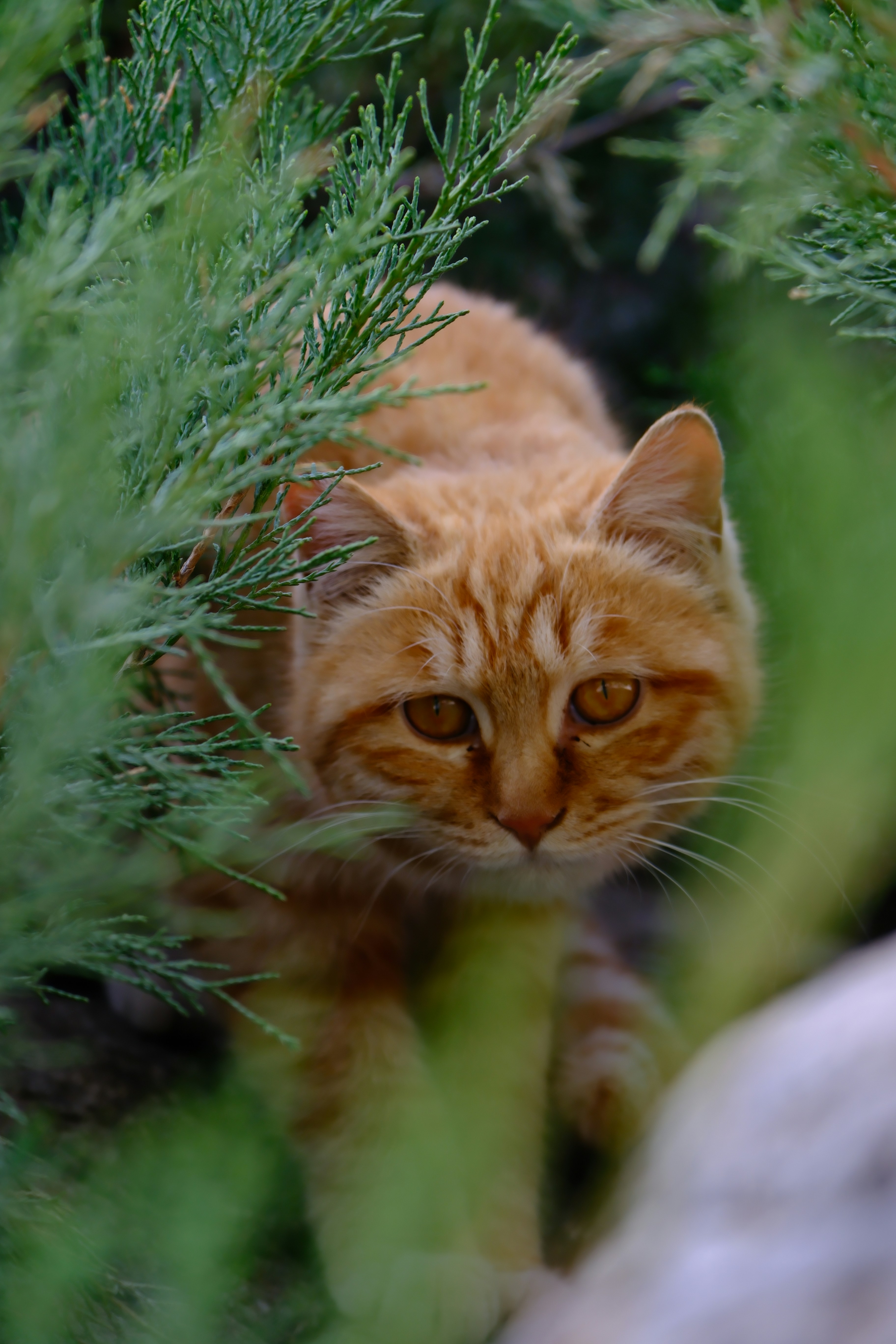 Photo by yukiliu0566