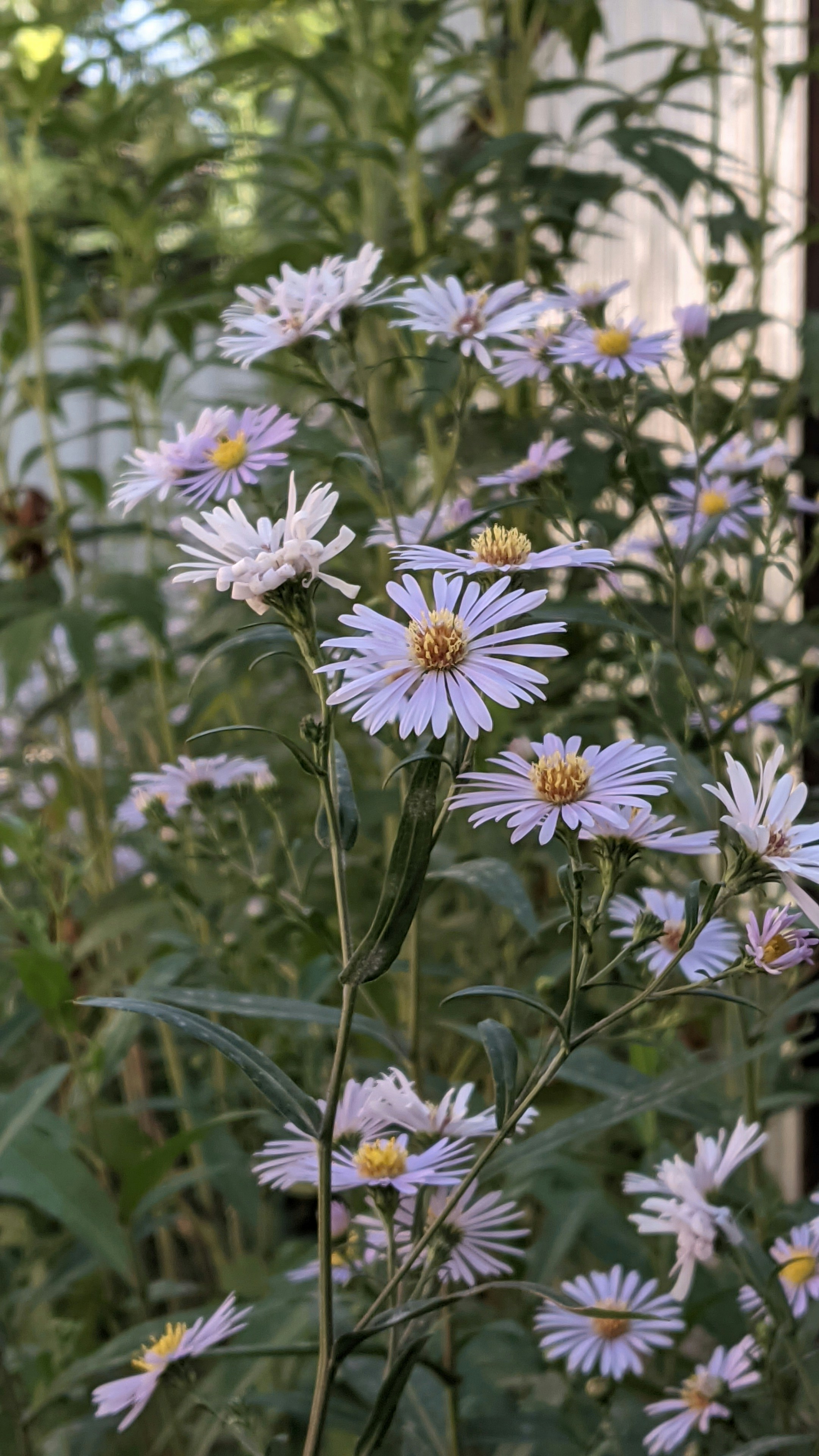 Photo by kazimbhai_photography