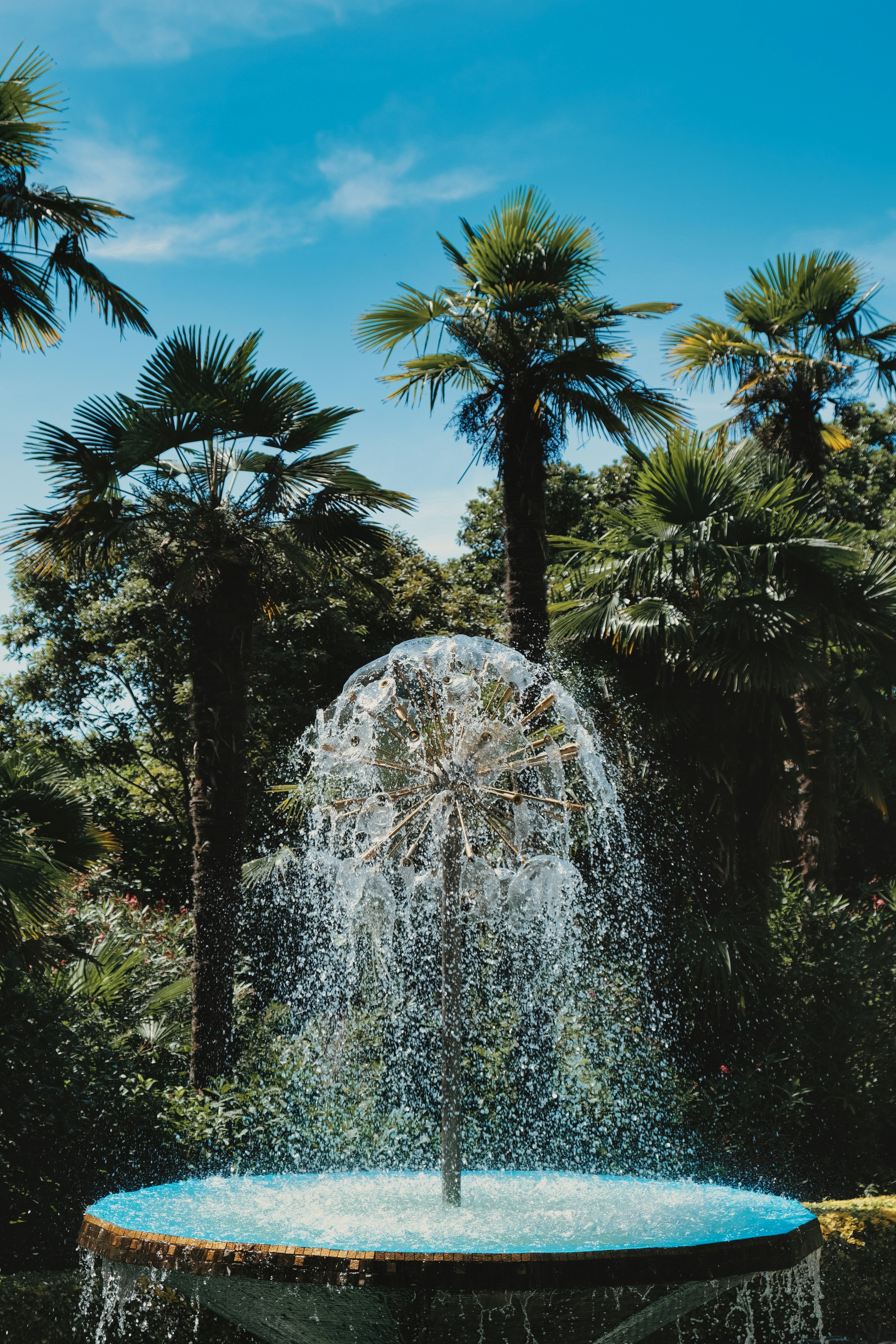 A fountain in a park with palm trees in the background