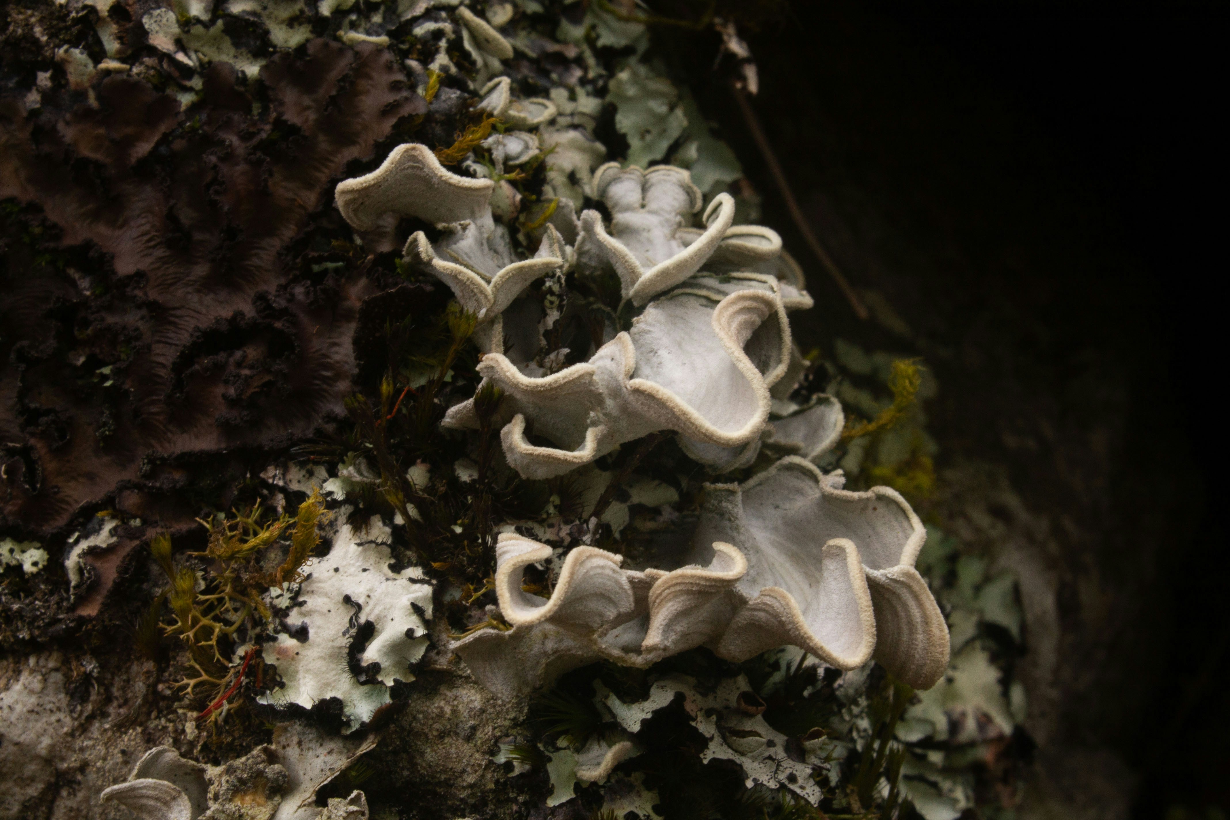 Photo by maafeespitia