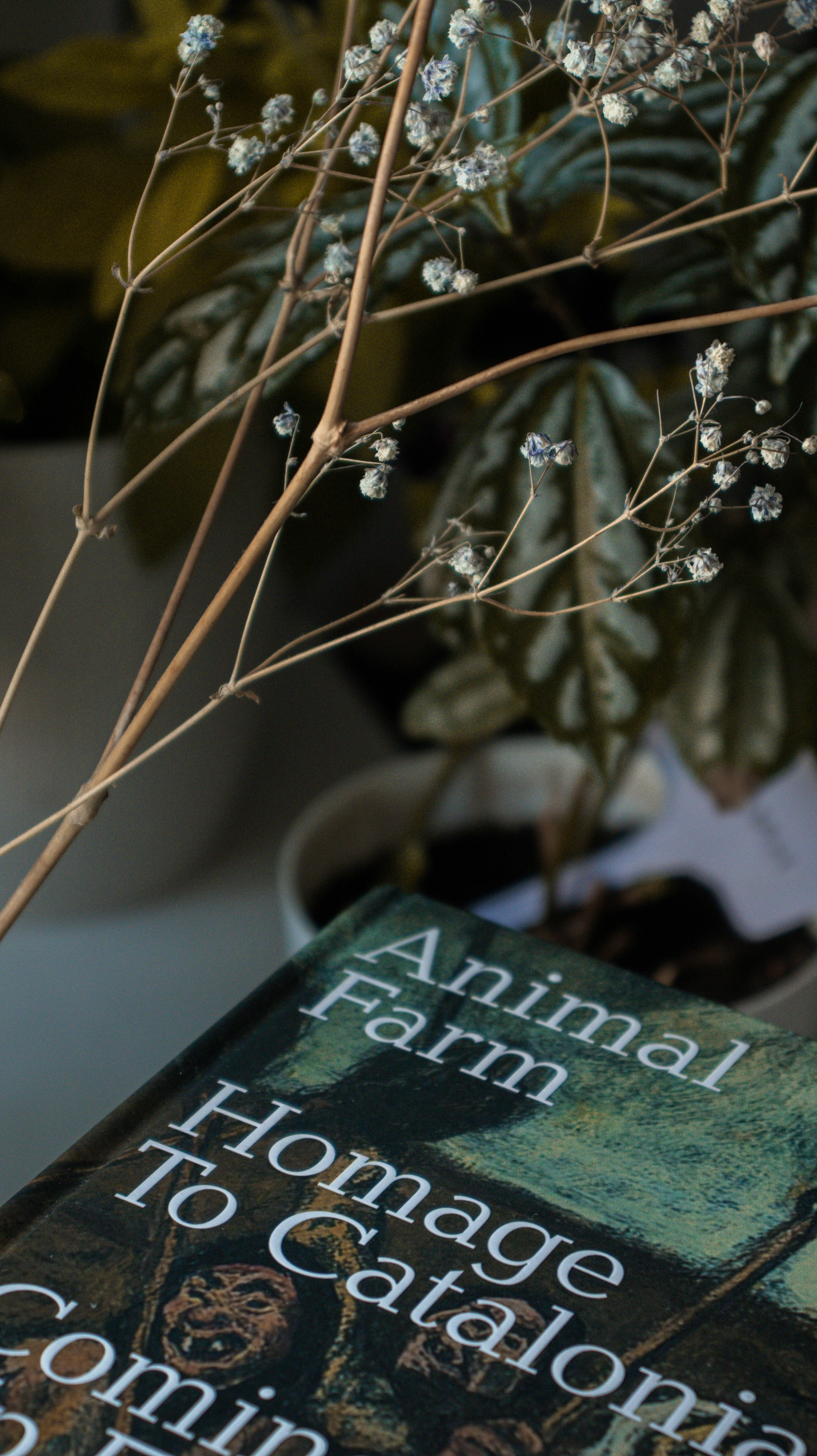 A book sitting on top of a table next to a plant